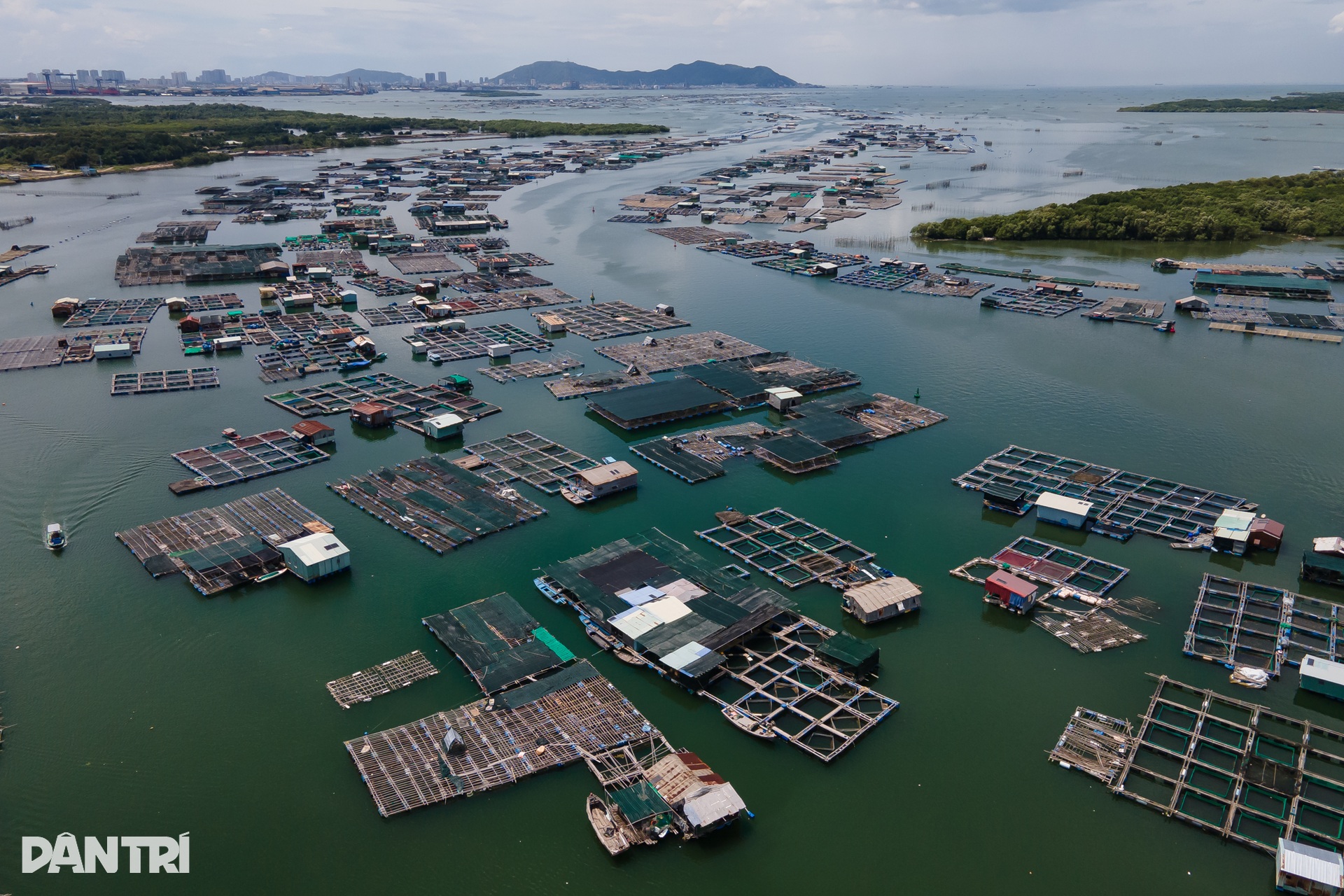 Khám phá khung cảnh bình yên tại xã đảo Long Sơn ở TPHCM - 2