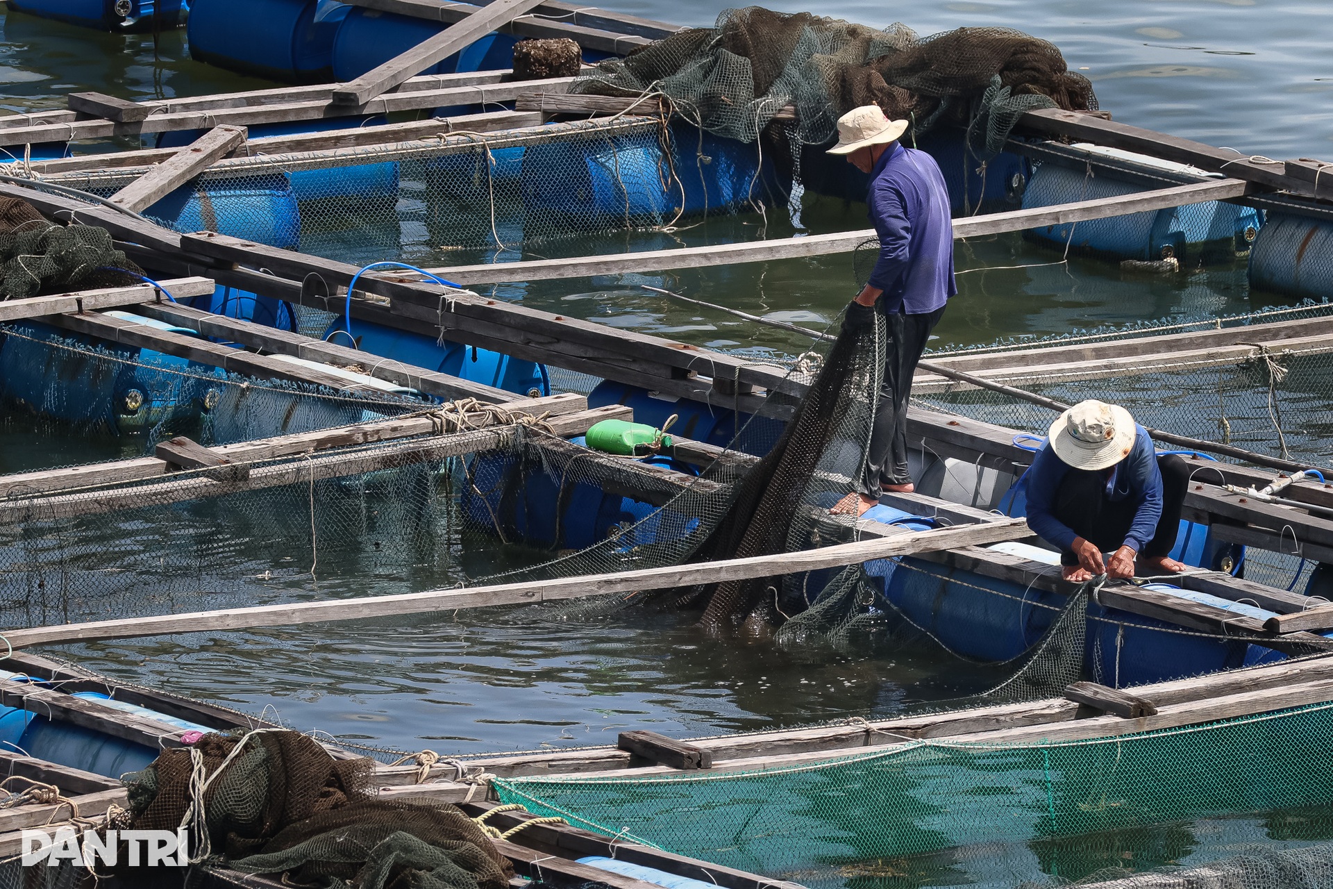 Khám phá khung cảnh bình yên tại xã đảo Long Sơn ở TPHCM - 4
