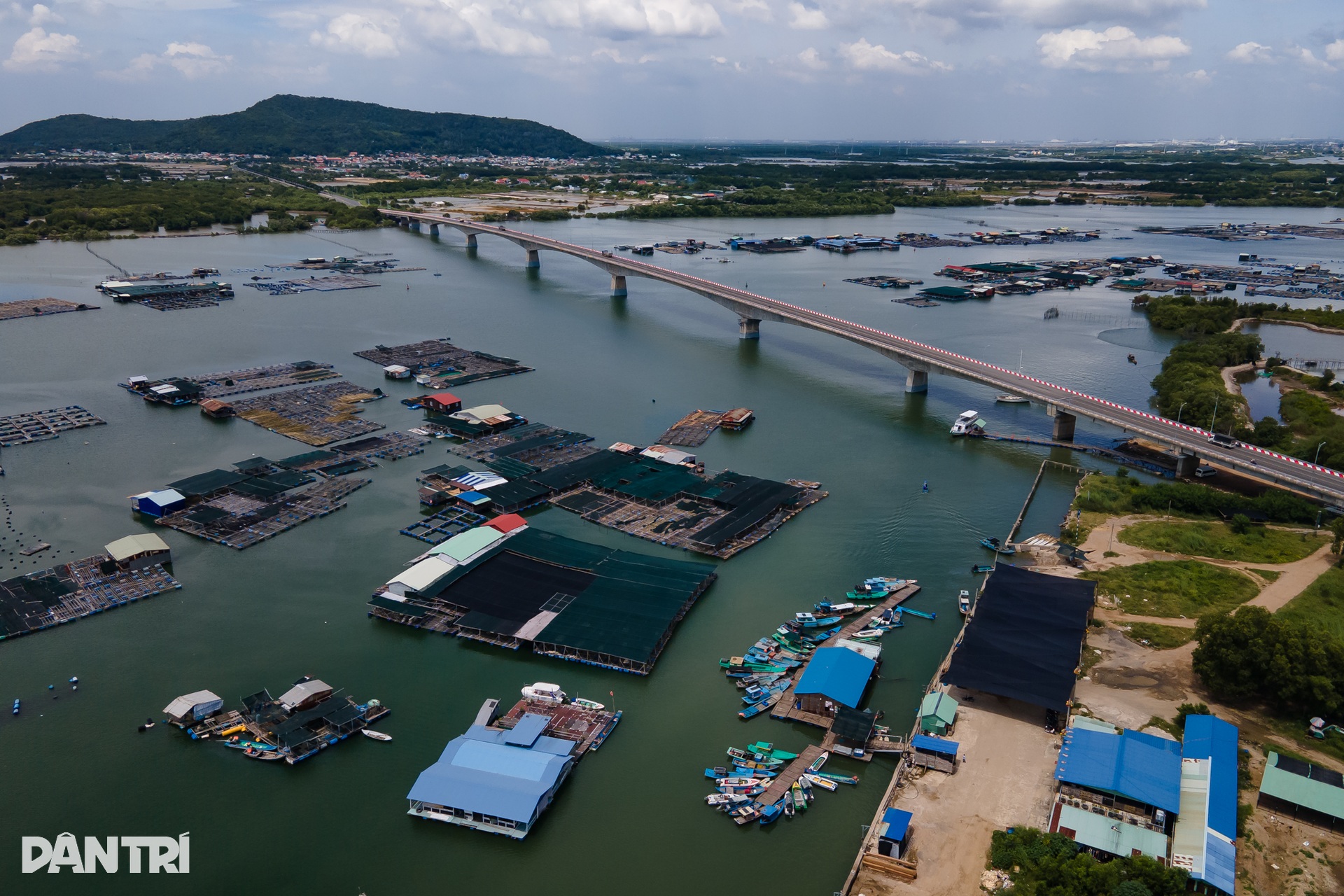 Khám phá khung cảnh bình yên tại xã đảo Long Sơn ở TPHCM - 3