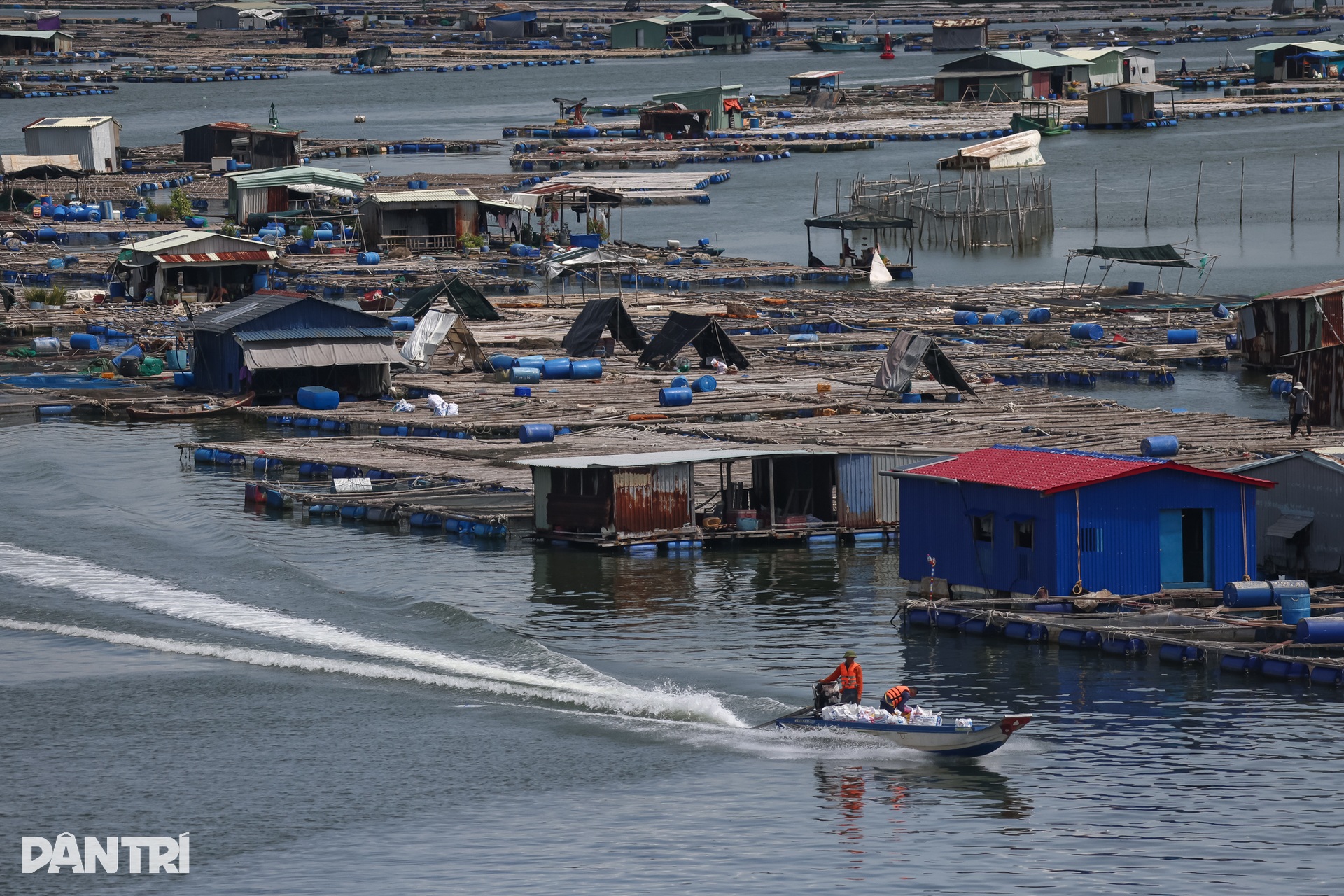 Khám phá khung cảnh bình yên tại xã đảo Long Sơn ở TPHCM - 14