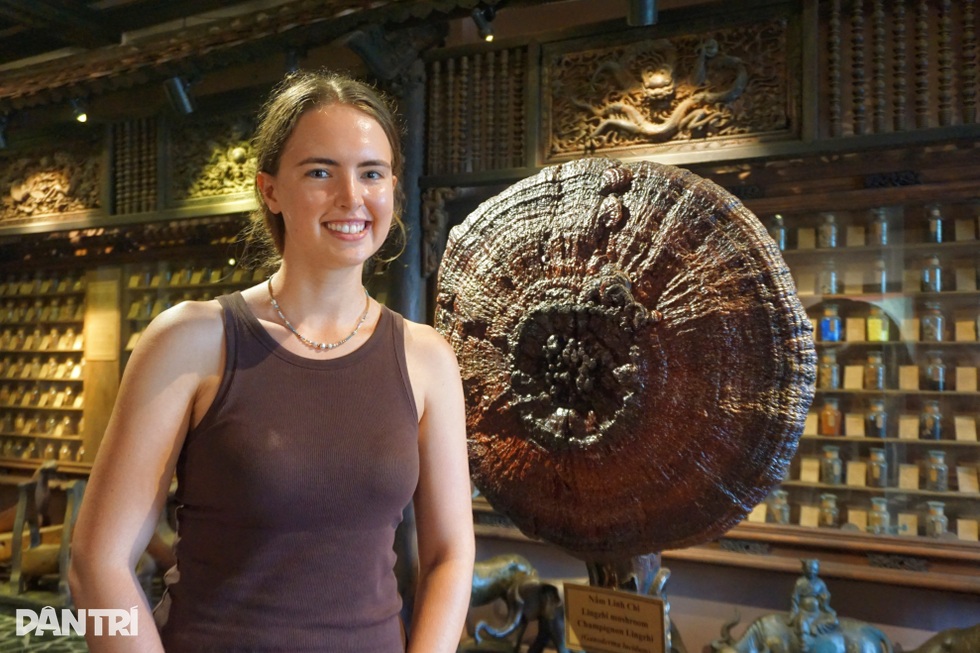 Kỳ công đưa nhà cổ Hà Nội vào lắp ghép trong bảo tàng 6 tầng ở TPHCM - 6