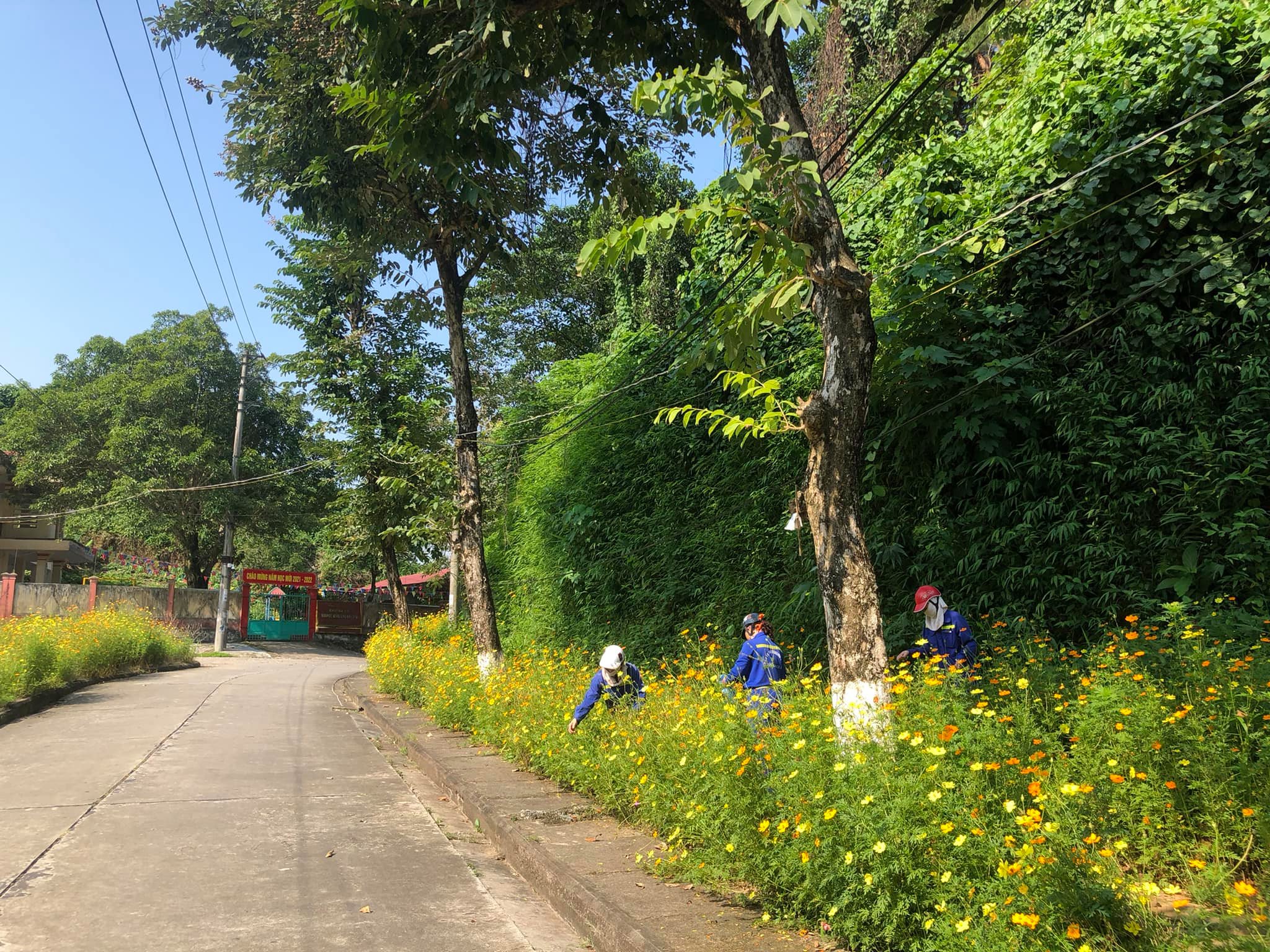 ‘Cây sáng kiến’ diệt rác, ươm mầm xanh - Ảnh 3.