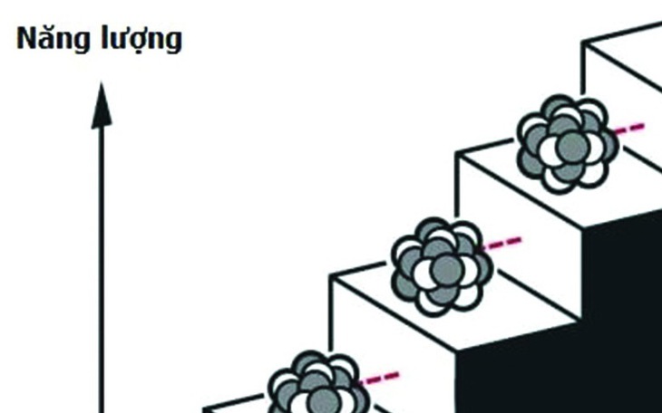 Các ý tưởng thay đổi thế giới từ Nobel 2025 - Ảnh 3.
