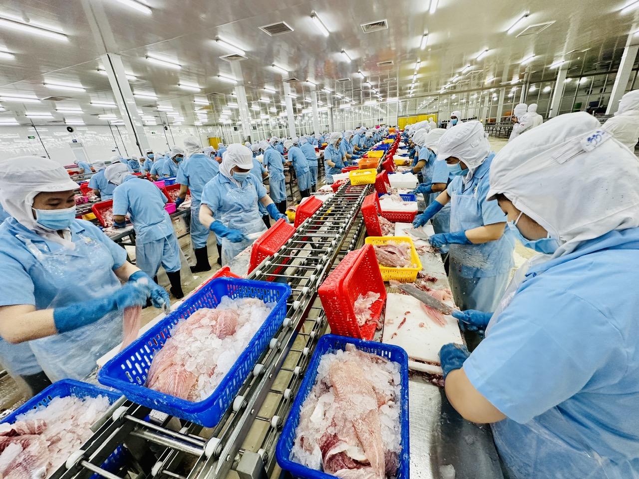 Bước tiến mới trong thuế đối ứng Mỹ - Việt- Ảnh 2.