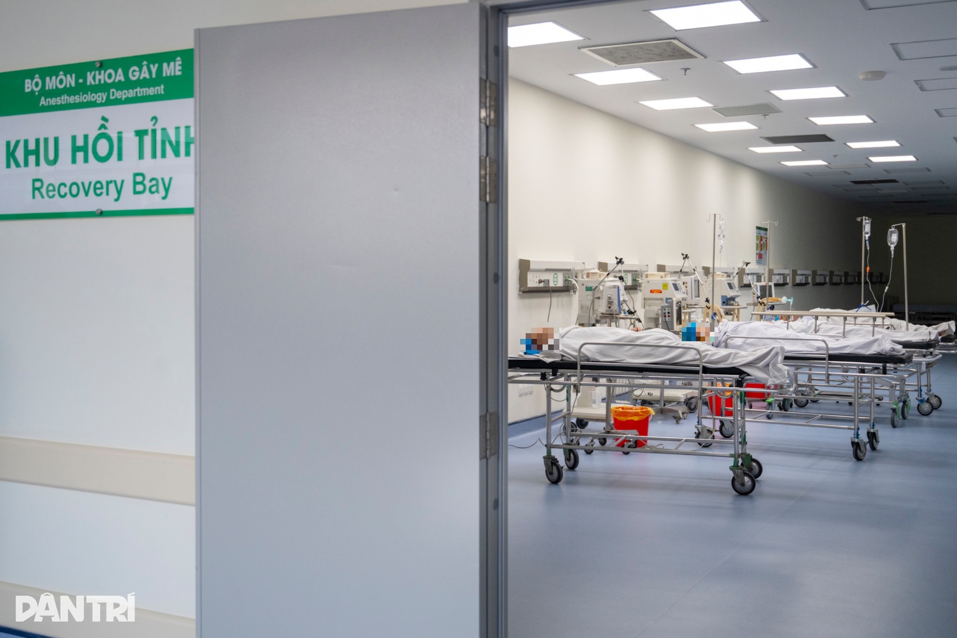 Xem bác sĩ thâm nhập dạ dày truy vết ung thư - 15