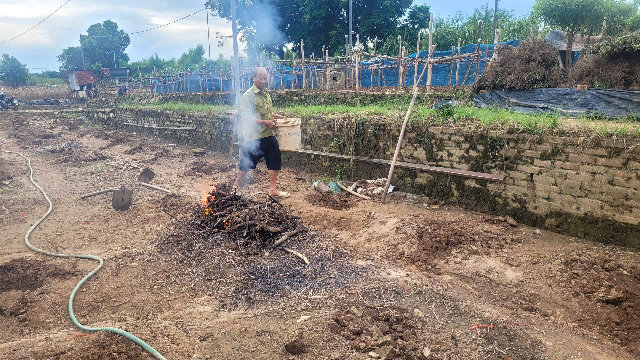 1761837772 853 Thu phu dao quat Ha Noi lo mat Tet