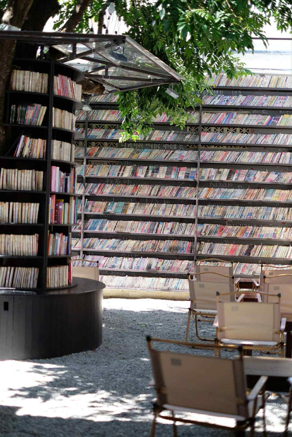 Bức tường sách 7.500 cuốn trong quán cà phê phố núi hút giới trẻ check-in - 2