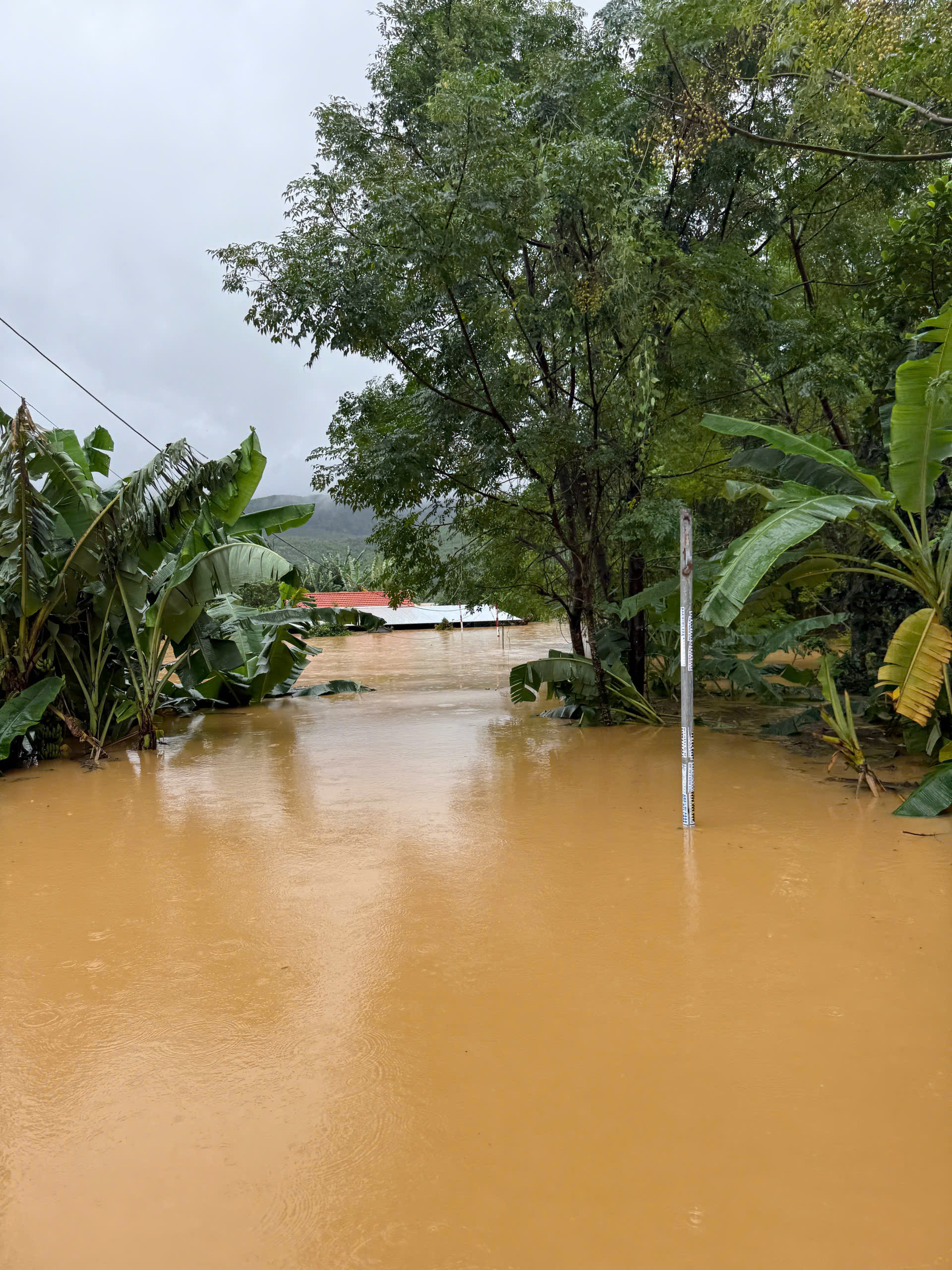 Lũ Đà Nẵng vượt mốc lịch sử 1964 , người dân kêu cứu trong đêm - Ảnh 8.
