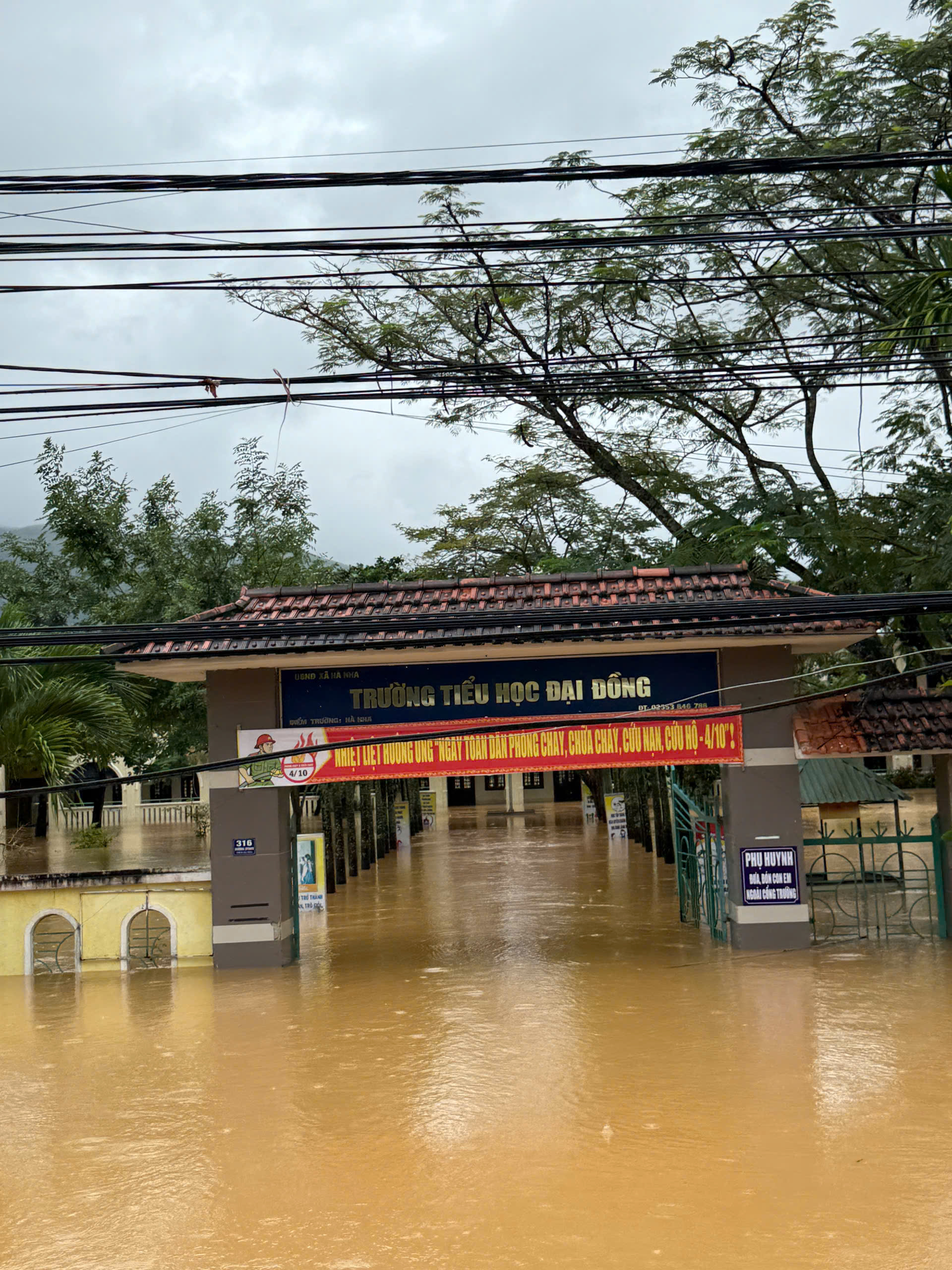 Lũ Đà Nẵng vượt mốc lịch sử 1964 , người dân kêu cứu trong đêm - Ảnh 10.
