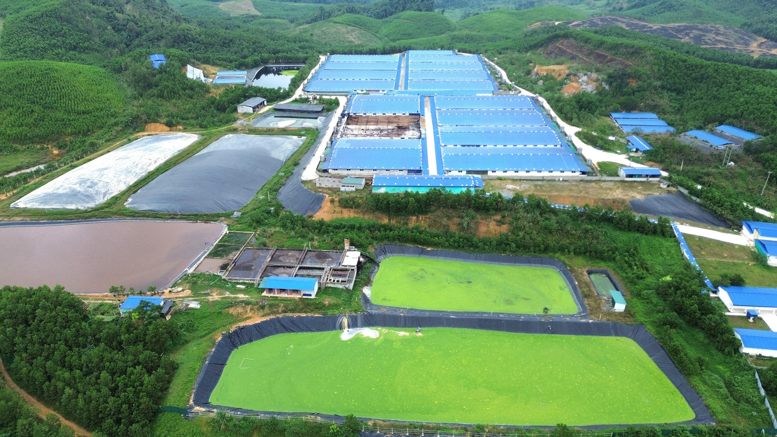 Người dân dựng rạp, tập trung phản đối trại lợn gây mùi hôi thối- Ảnh 2.