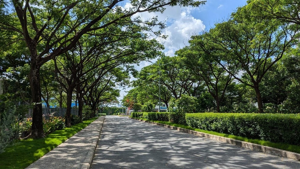 S P Setia - 50 năm kiến tạo hệ sinh thái sống giá trị - 3