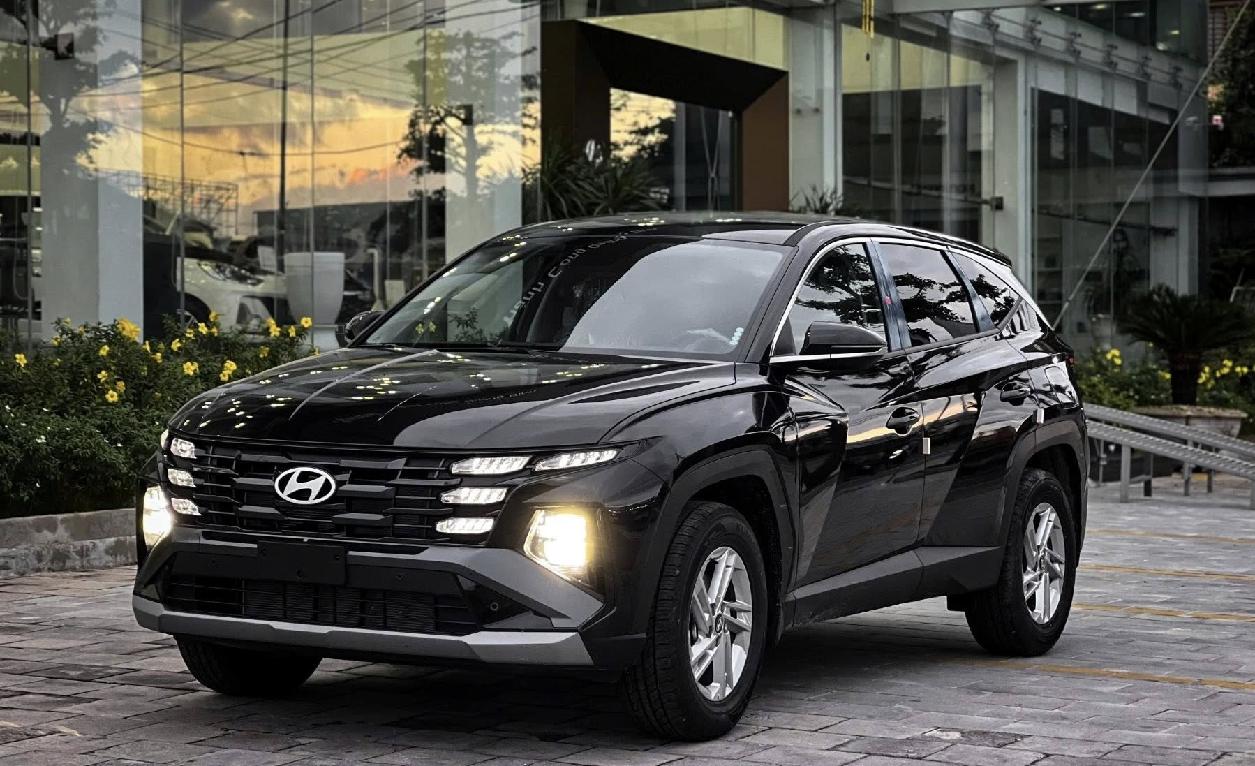 - Ảnh 3. - Ảnh 3.