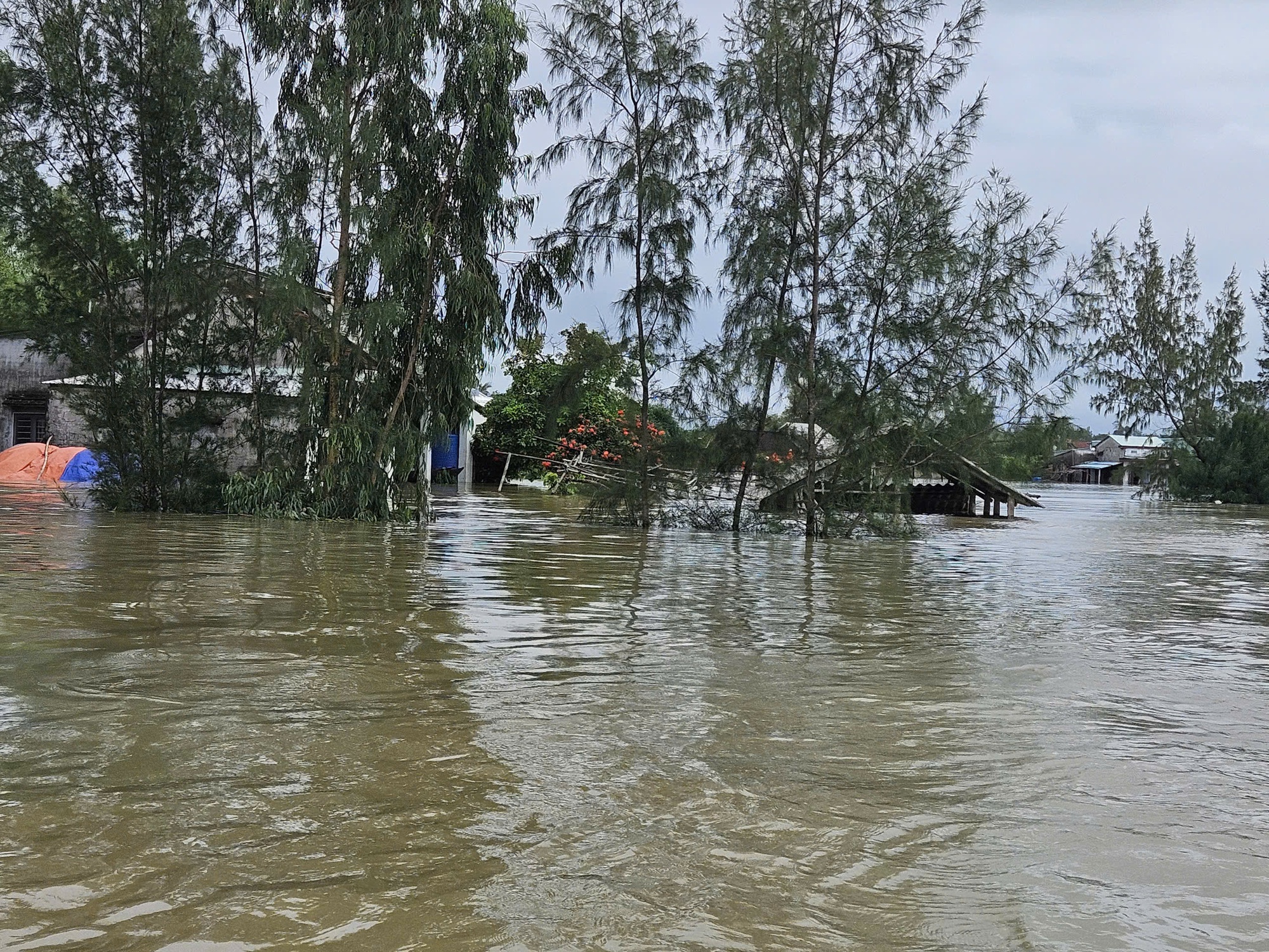 'Đại hồng thủy' trên sông Thu Bồn vượt lũ lịch sử năm Thìn 1964 là 0,14 m- Ảnh 4. 'Đại hồng thủy' trên sông Thu Bồn vượt lũ lịch sử năm Thìn 1964 là 0,14 m- Ảnh 4.
