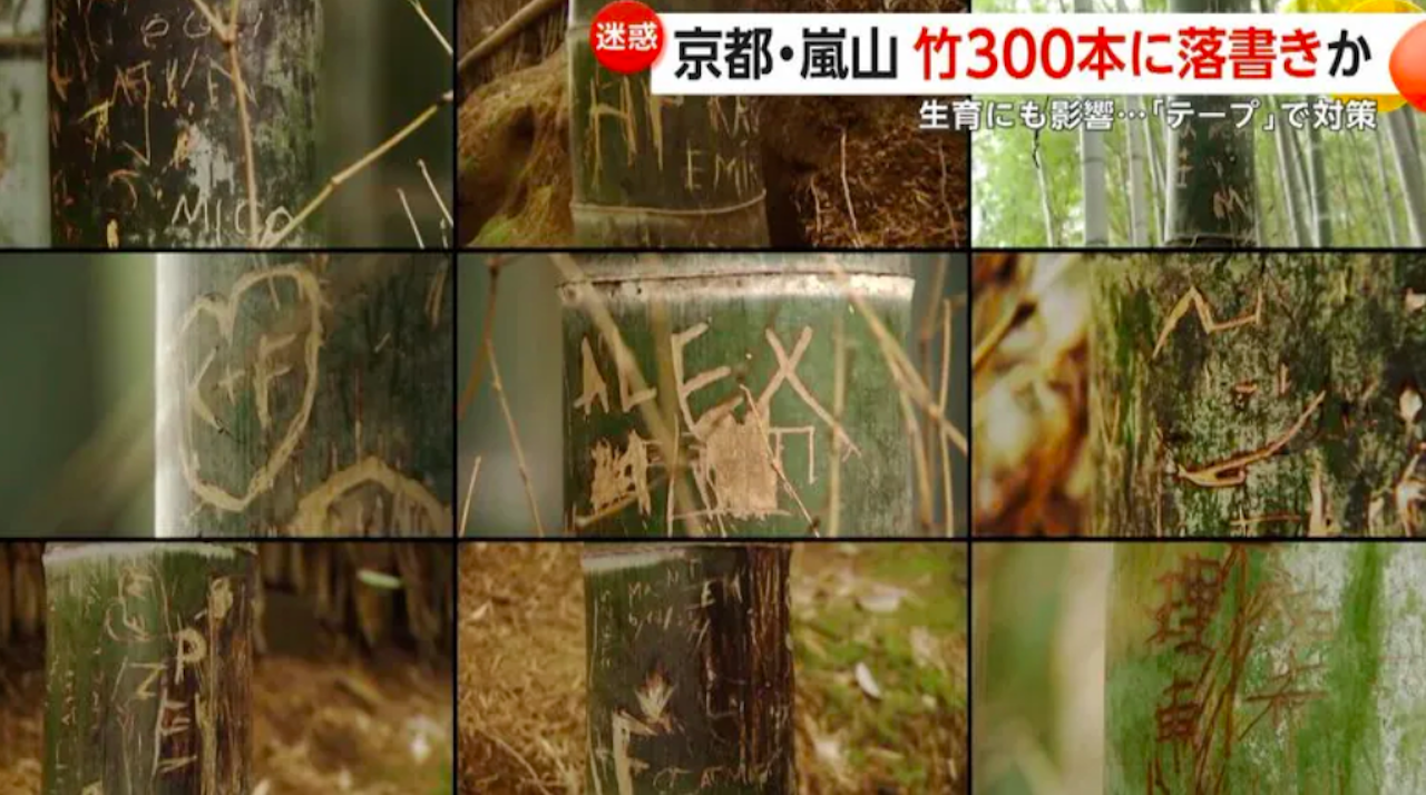 Rừng tre nổi tiếng Nhật Bản bị khắc chữ chi chít, có cả tiếng Việt- Ảnh 3. Rừng tre nổi tiếng Nhật Bản bị khắc chữ chi chít, có cả tiếng Việt- Ảnh 3.