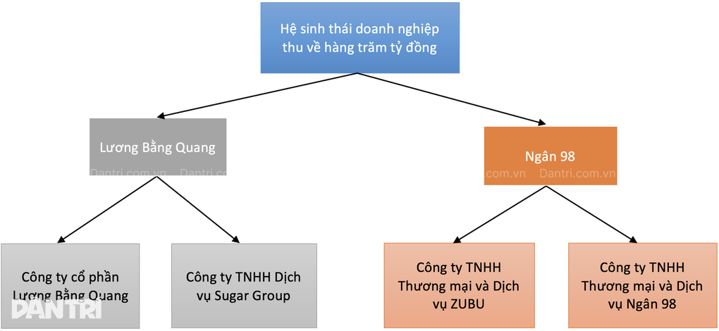 Đế chế kinh doanh của Lương Bằng Quang và Ngân 98; bầu Đức đón tin vui - 2