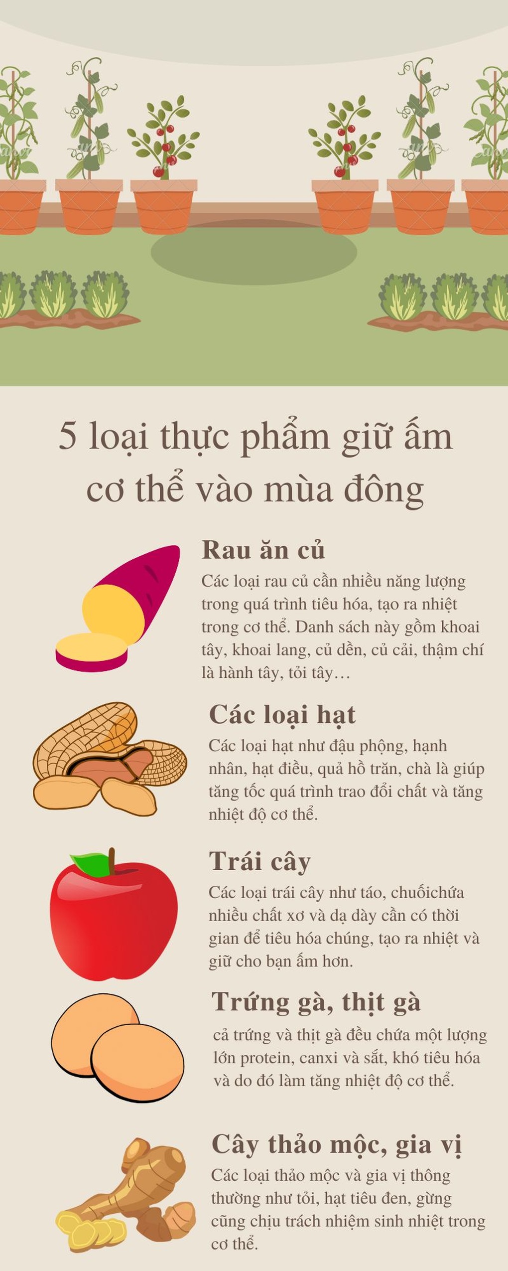 Trà gừng chanh - “liều thuốc” tự nhiên giúp cơ thể khỏe mạnh trong mùa lạnh - 2 Trà gừng chanh - “liều thuốc” tự nhiên giúp cơ thể khỏe mạnh trong mùa lạnh - 2