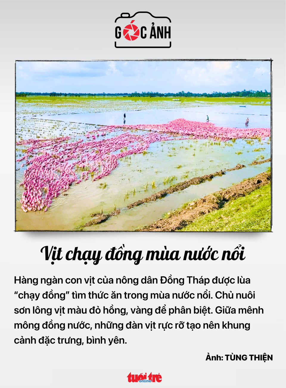 tăng lương - Ảnh 5.