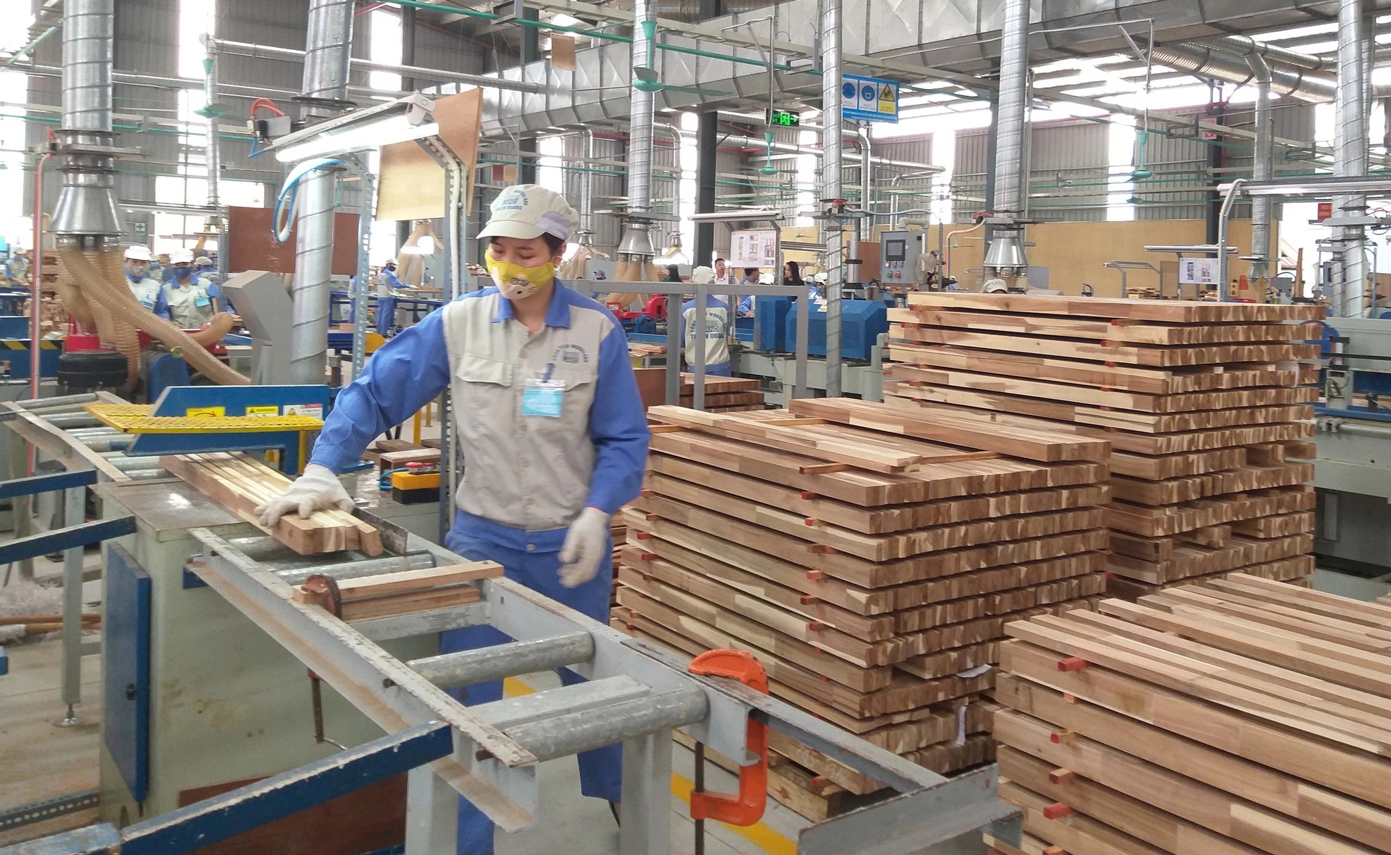 Nhức nhối hoàn thuế, kiến nghị xây dựng cơ chế hoàn tự động - Ảnh 2.