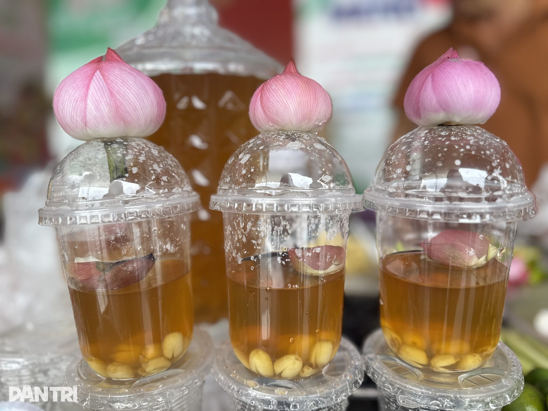 Cầm 200.000 đồng ăn đủ món ngon 3 miền tại Hội chợ Mùa Thu ở Hà Nội - 11