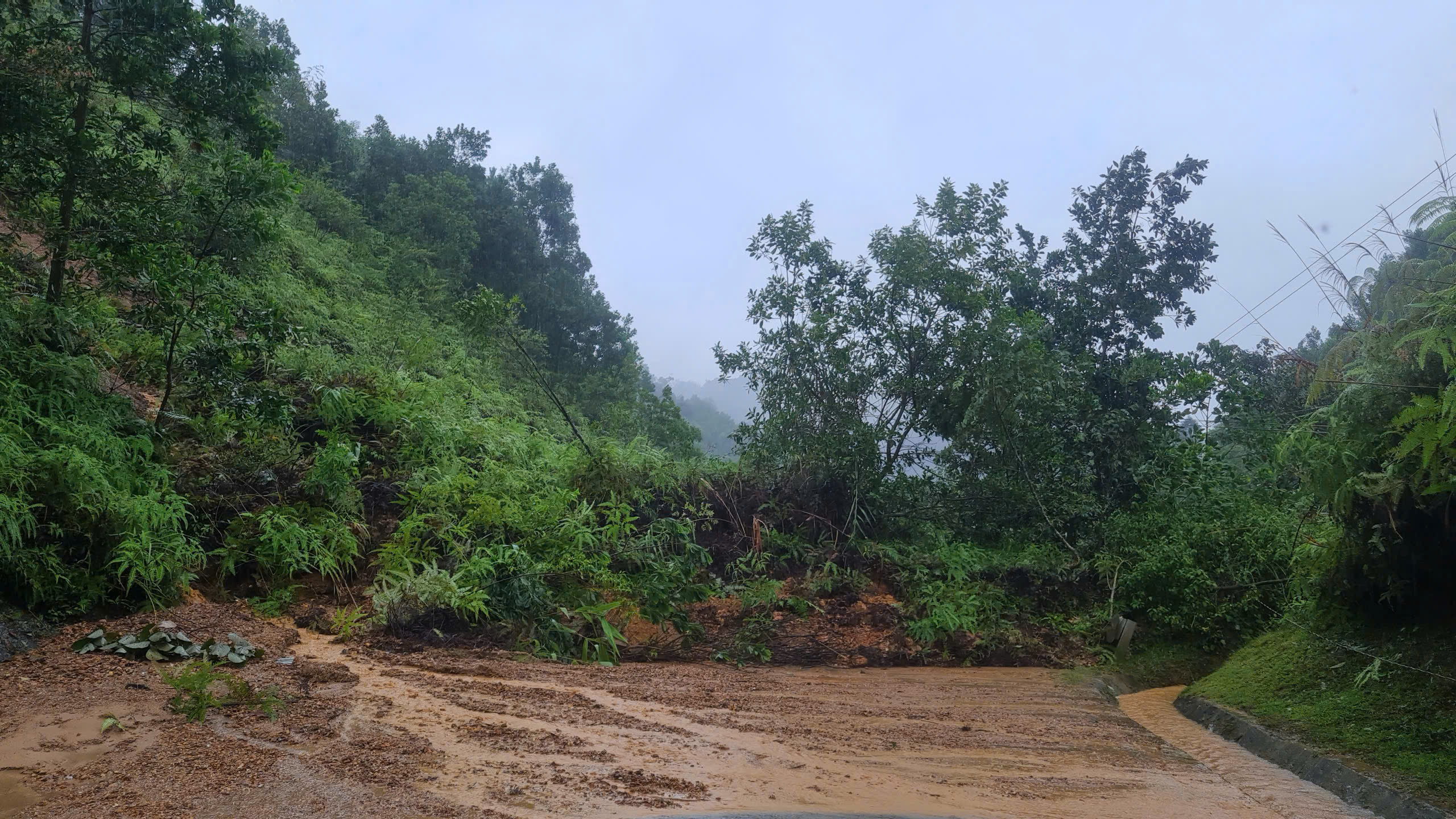 Lũ Đà Nẵng vượt bđ 3: Thiệt hại nặng nề và mất điện diện rộng - Ảnh 8.