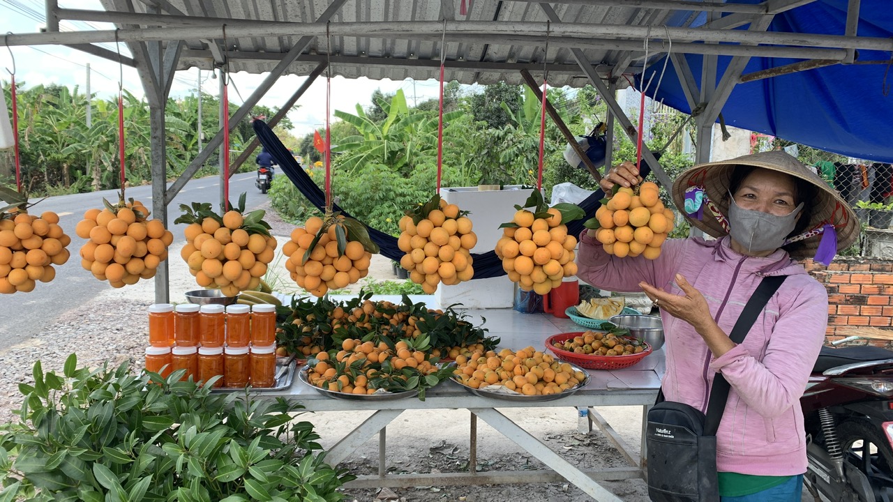 Khoảng 25% phụ nữ tham gia quản lý HTX nông nghiệp- Ảnh 2.