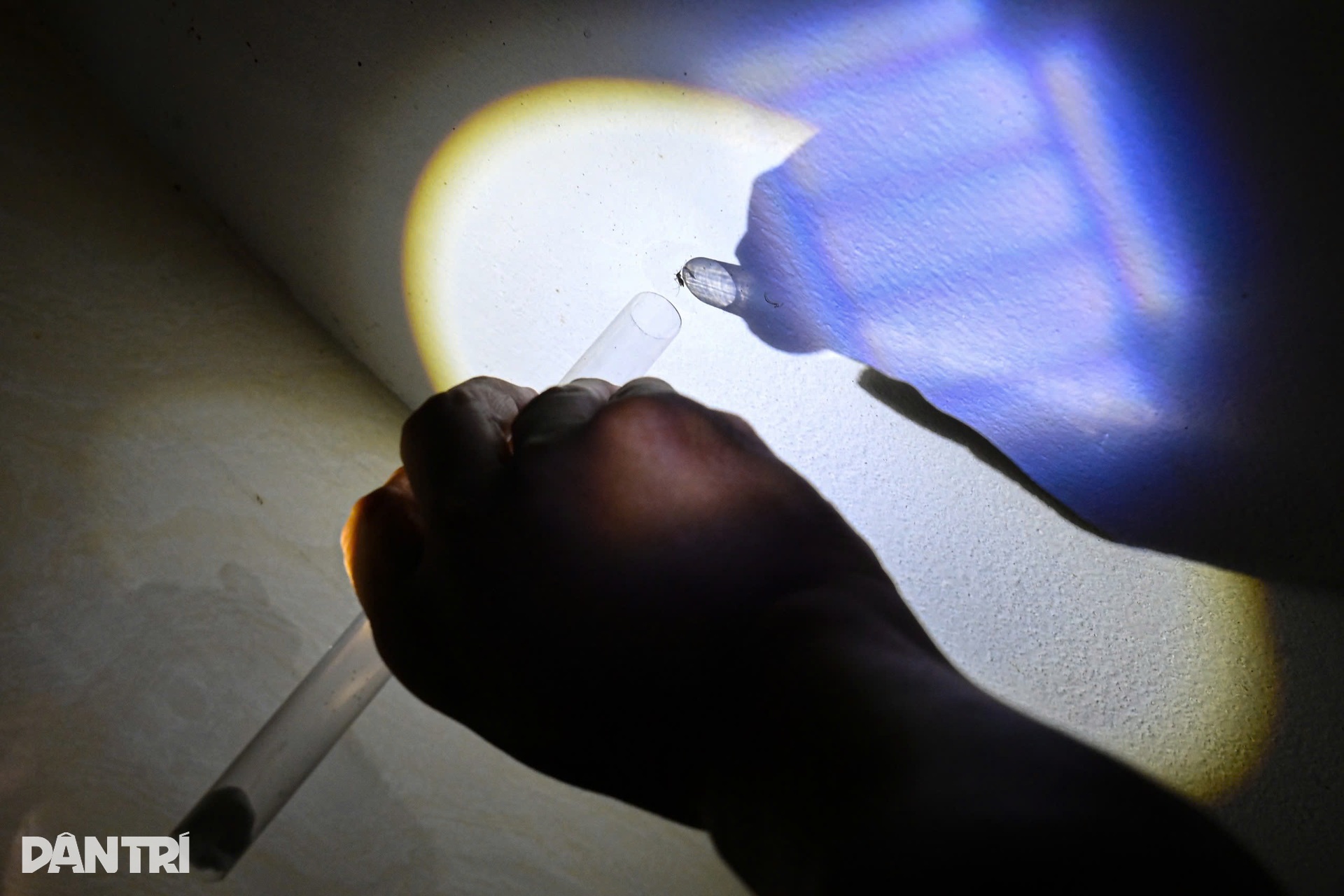 Hà Nội: Theo chân đội đặc nhiệm săn muỗi độc giữa cao điểm sốt xuất huyết - 8