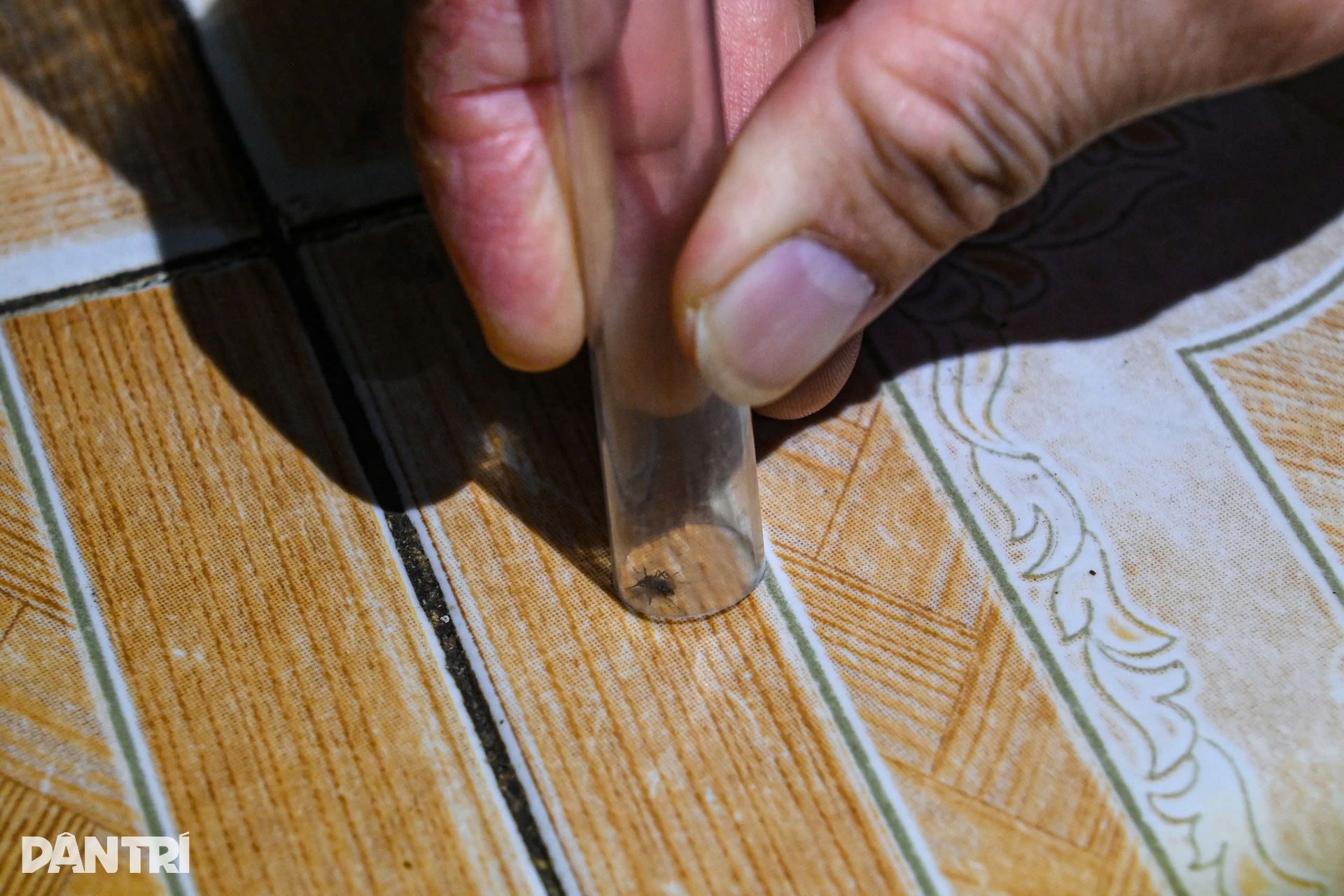 Hà Nội: Theo chân đội đặc nhiệm săn muỗi độc giữa cao điểm sốt xuất huyết - 9