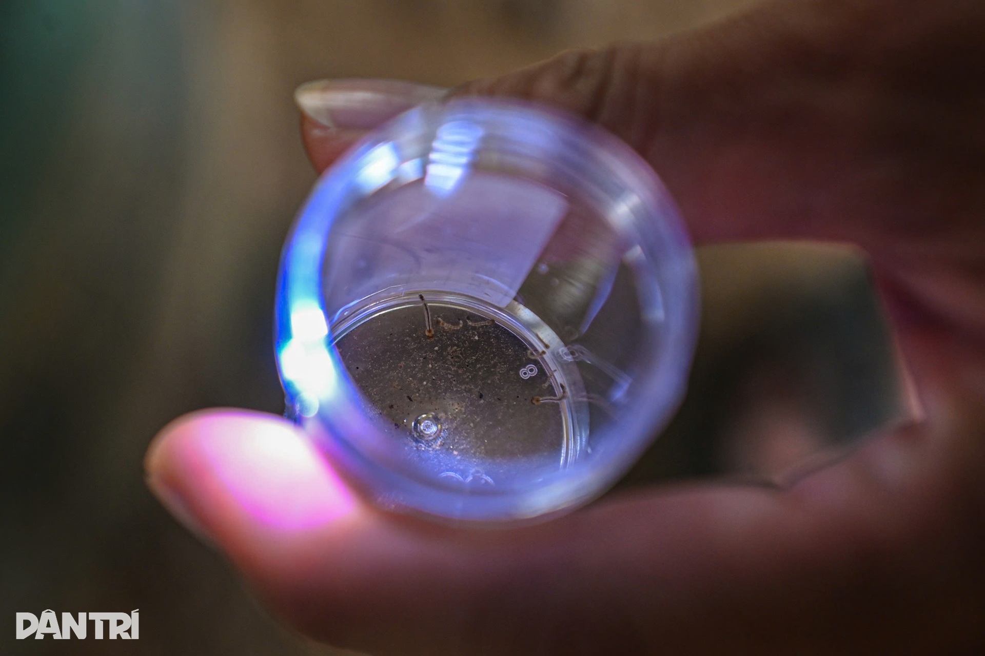 Hà Nội: Theo chân đội đặc nhiệm săn muỗi độc giữa cao điểm sốt xuất huyết - 14