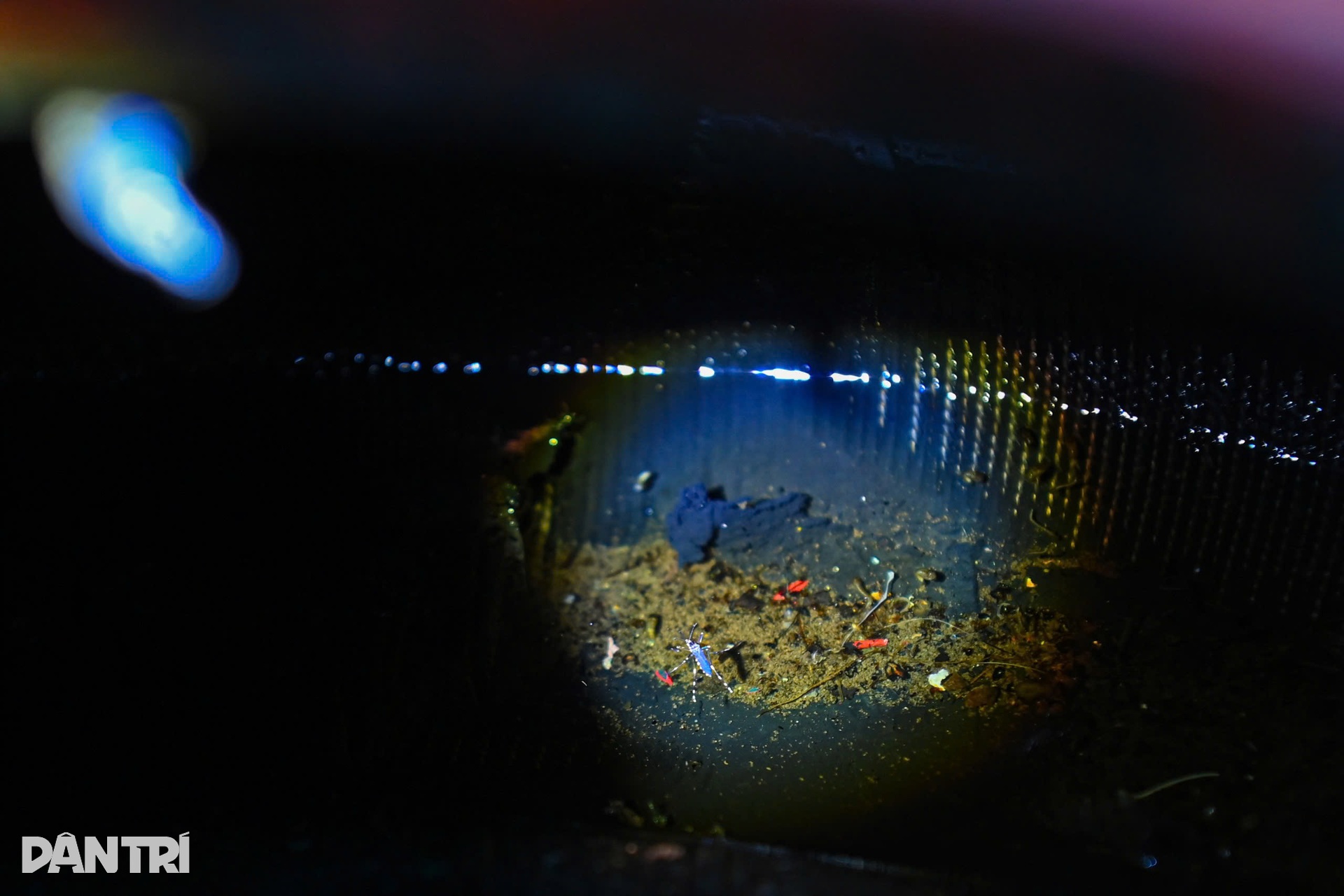 Hà Nội: Theo chân đội đặc nhiệm săn muỗi độc giữa cao điểm sốt xuất huyết - 18