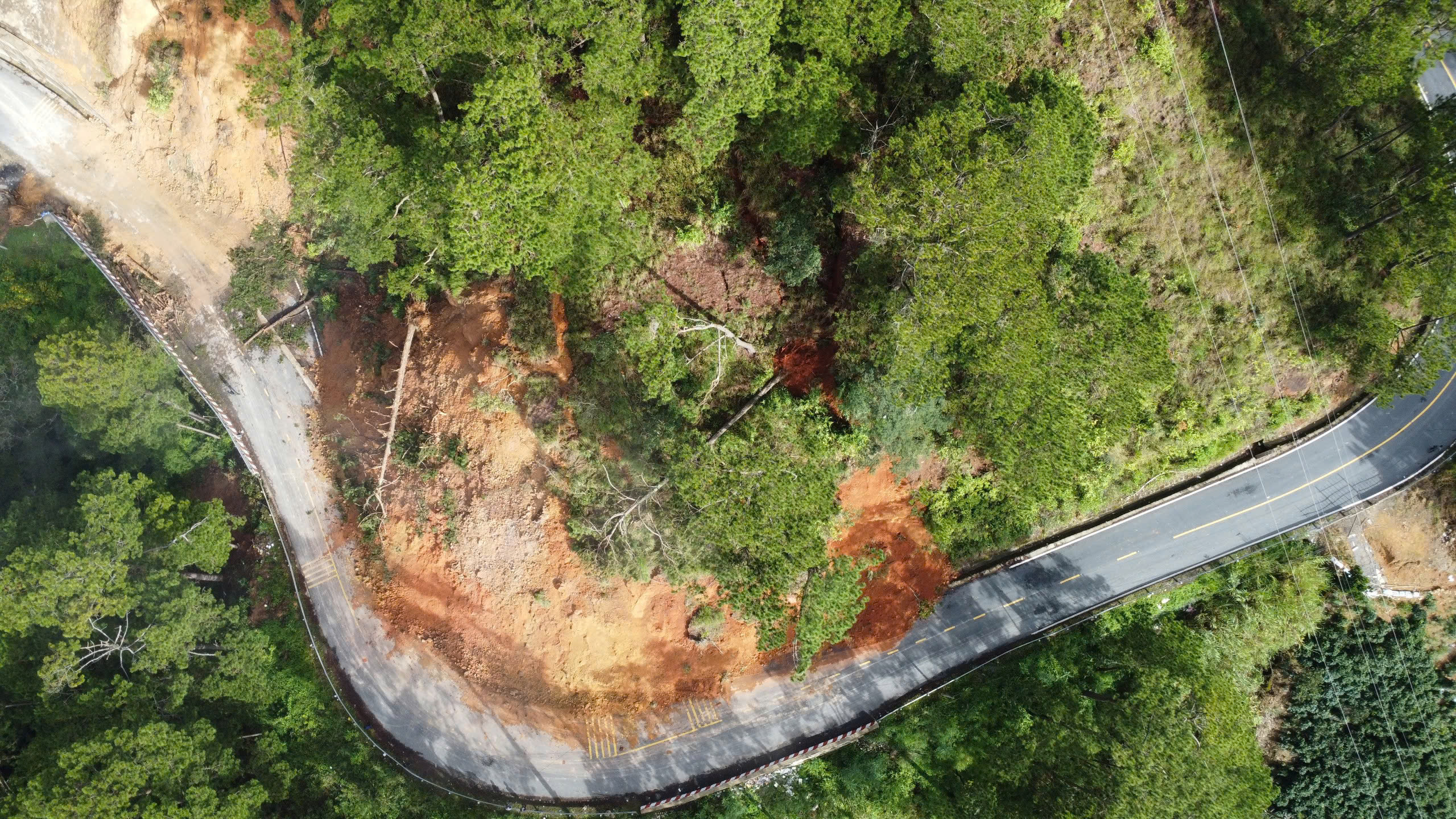 Lâm Đồng thuê tư vấn khảo sát, đánh giá sạt lở đèo D’Ran trên QL20 - Ảnh 2.