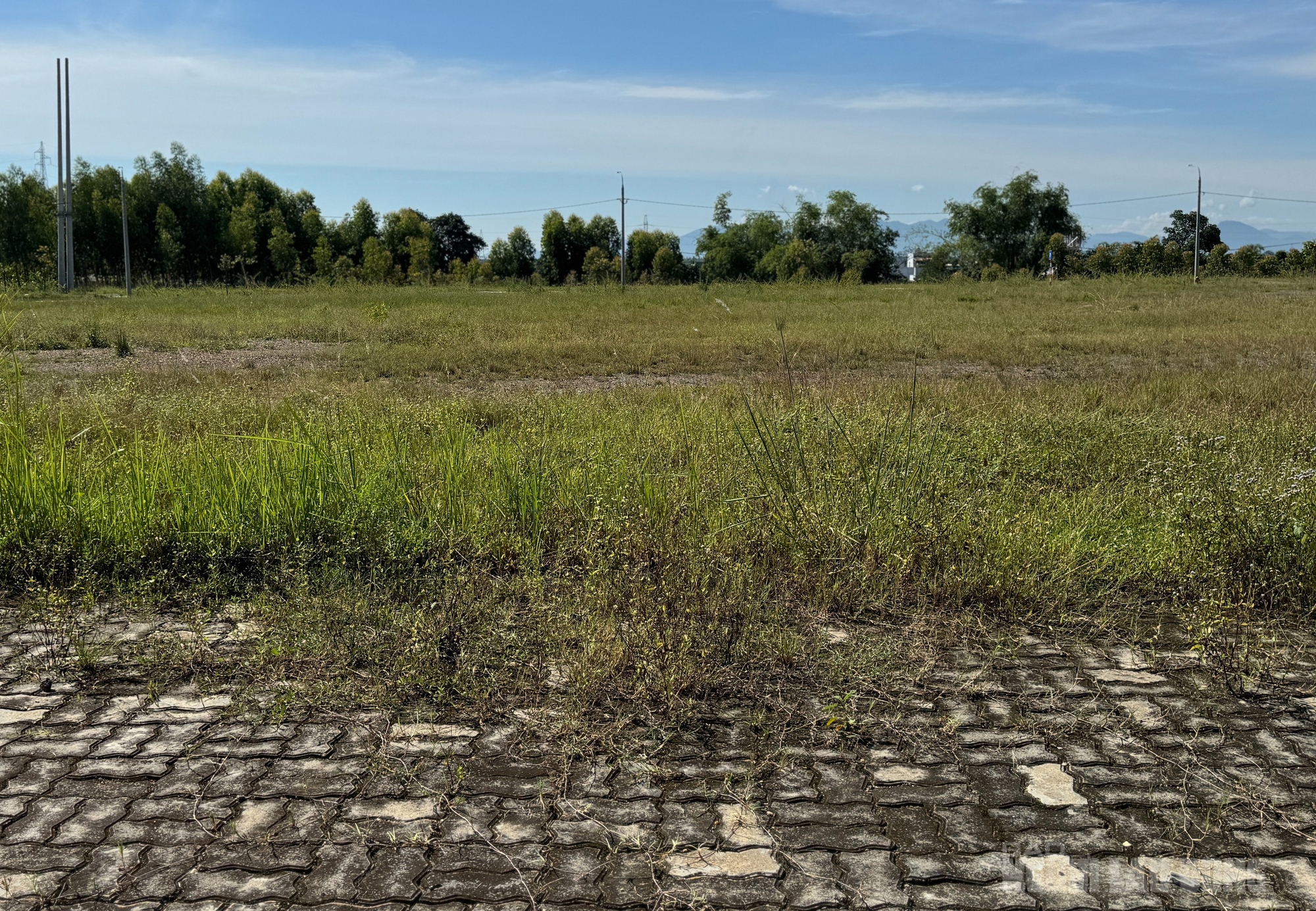 Cụm công nghiệp Cẩm Lệ Đà Nẵng đứng bánh vì vướng giá đất - Ảnh 5.