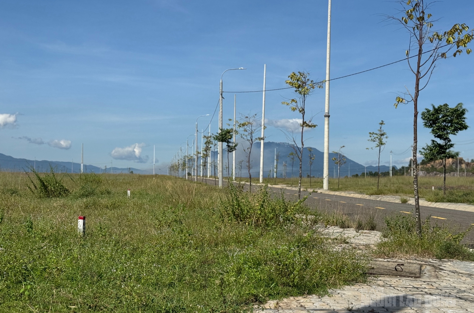 Cụm công nghiệp Cẩm Lệ Đà Nẵng đứng bánh vì vướng giá đất - Ảnh 6.