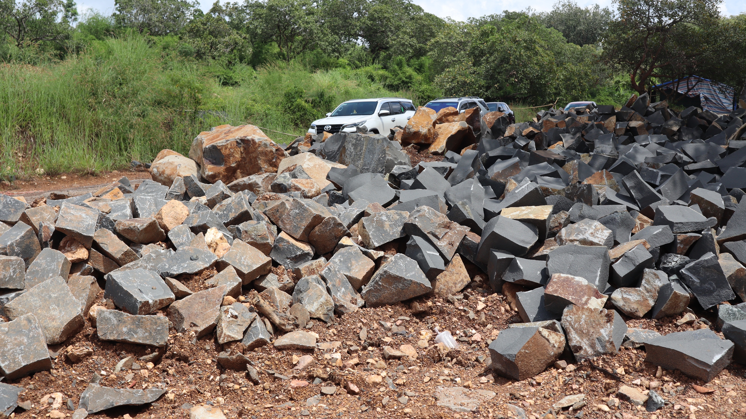 Đề nghị xử lý vụ 'khai thác đá để trồng điều' báo Thanh Niên phản ánh - Ảnh 3.