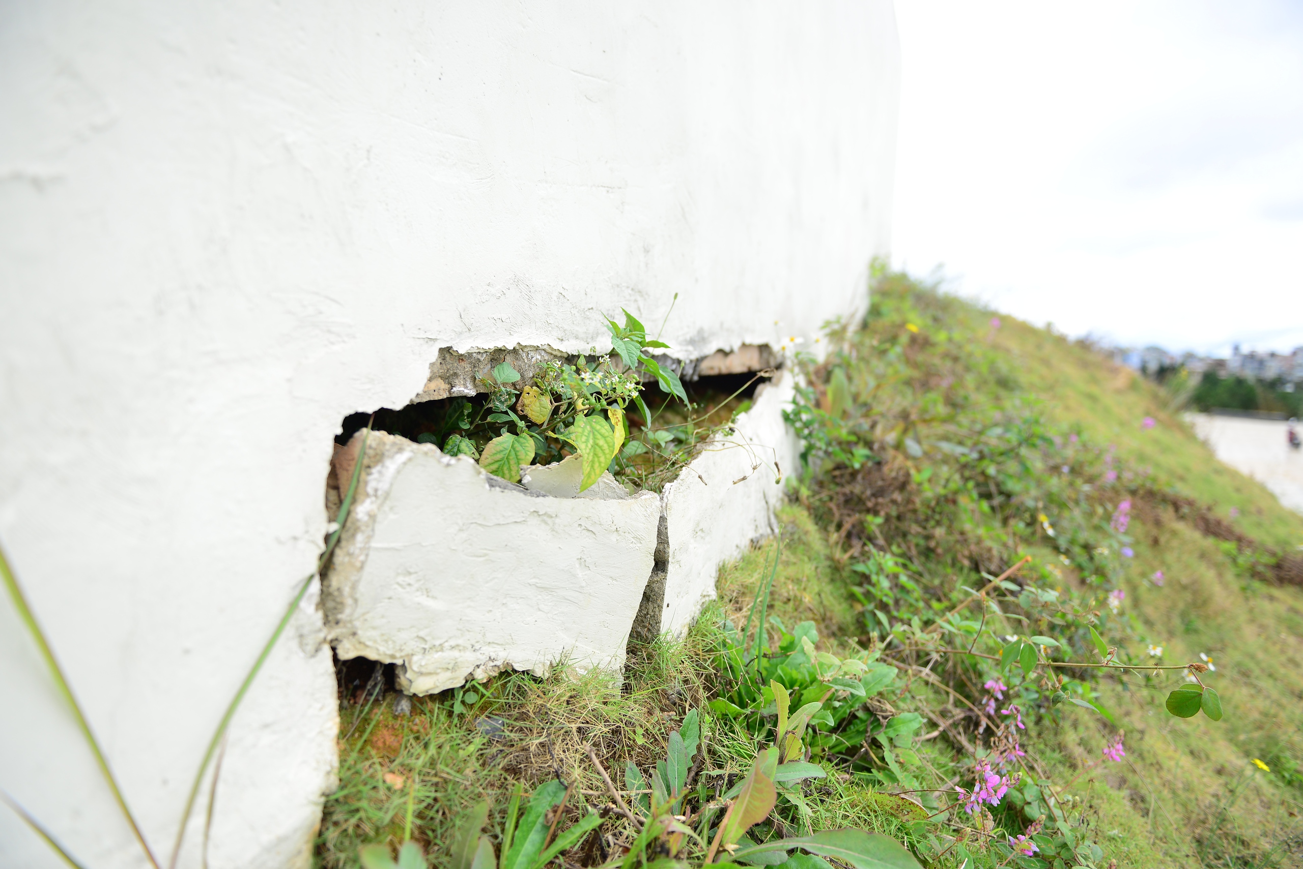Sân Đà Lạt hàng trăm tỉ đồng bị xuống cấp nghiêm trọng, rất nhếch nhác: Quá lãng phí!- Ảnh 10.
