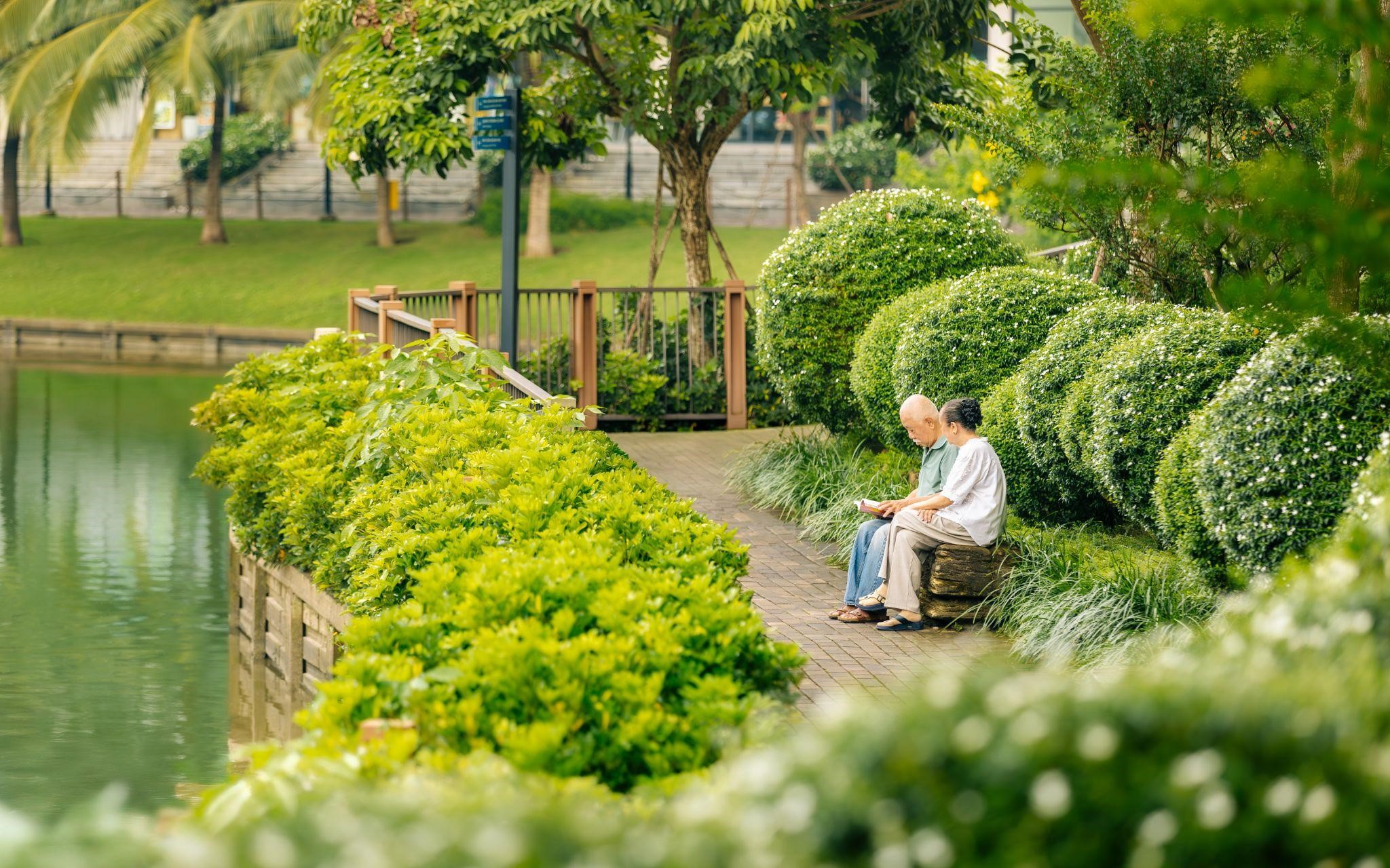 - Ảnh 3. - Ảnh 3.