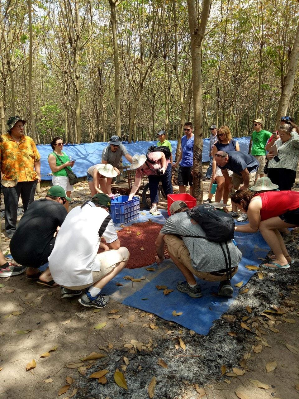 Vương trùn quế 4 Vương trùn quế - Ảnh 4.