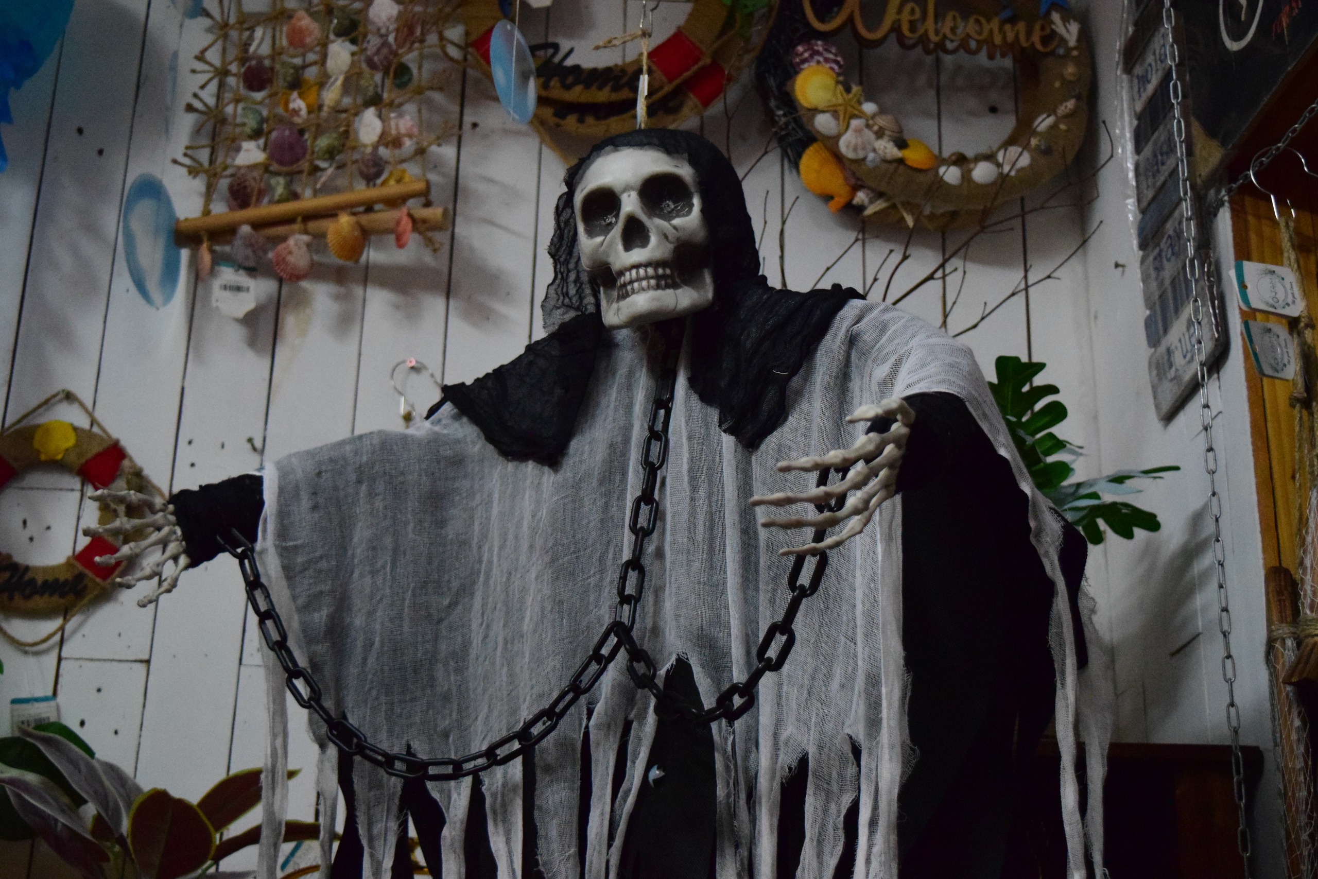 Chờ khách cuối mua Halloween - Ảnh 2.