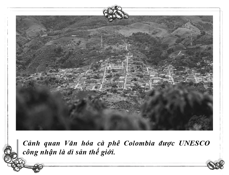 - Ảnh 2. - Ảnh 2.