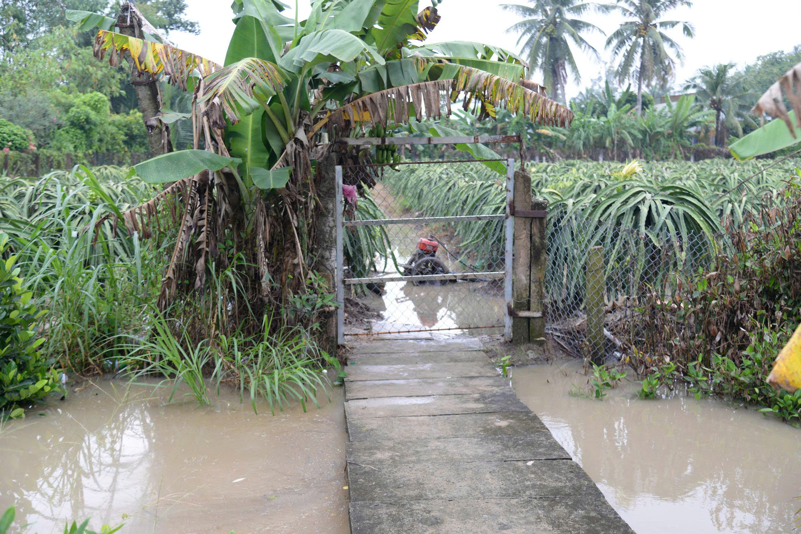 Tây Ninh có cảnh báo khẩn cấp về lũ - Ảnh 2.