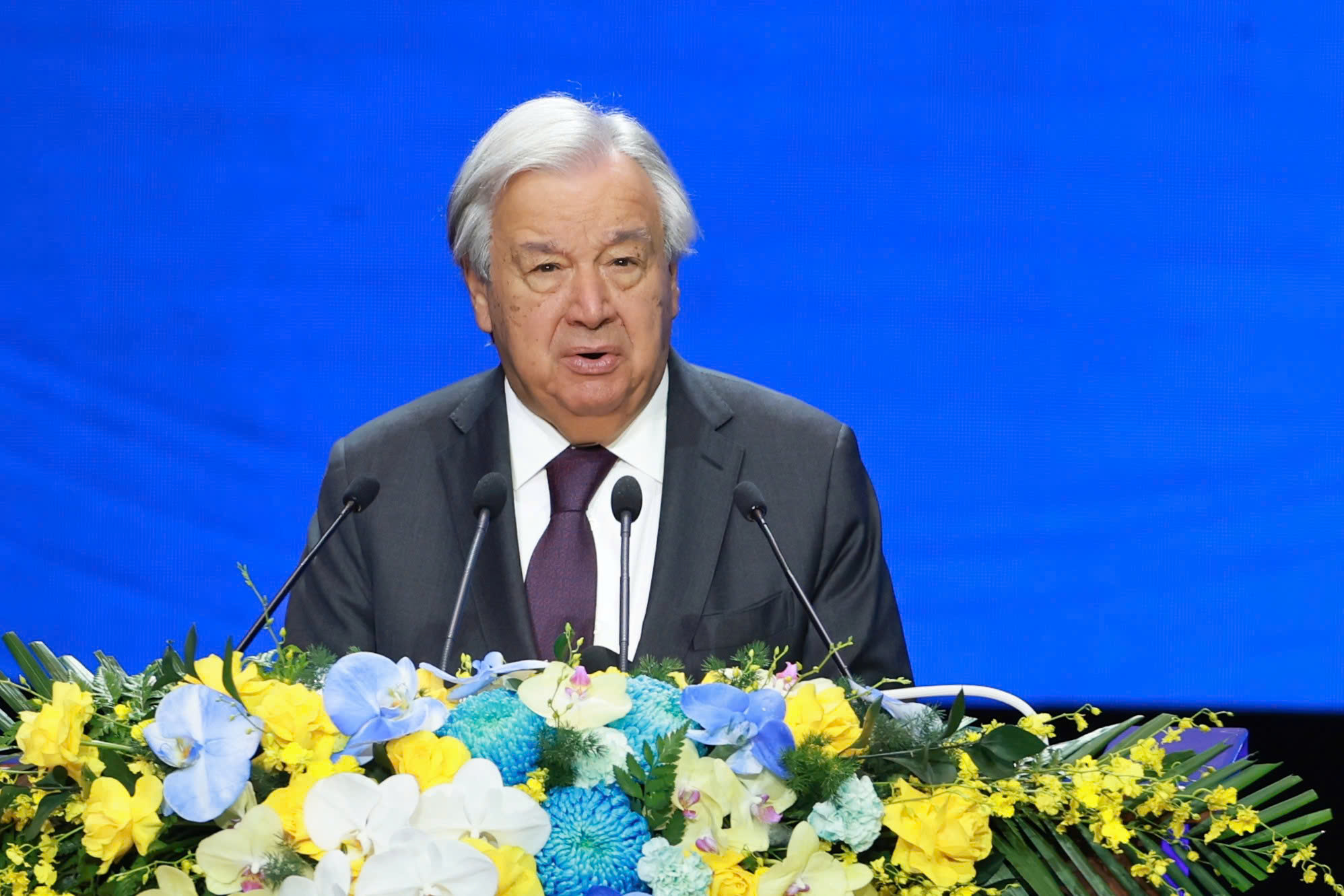 - Ảnh 4. - Ảnh 4.