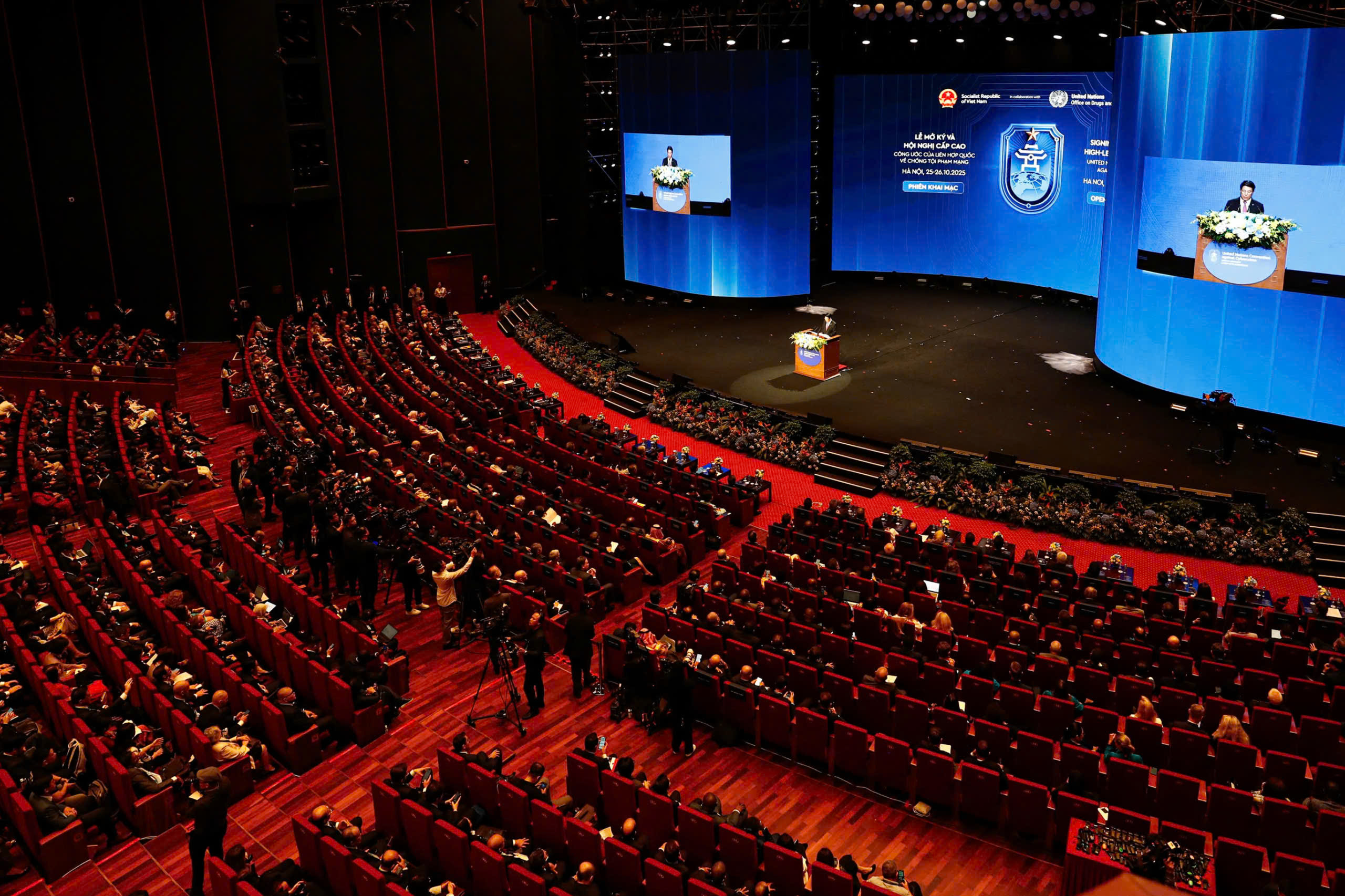 - Ảnh 7. - Ảnh 7.