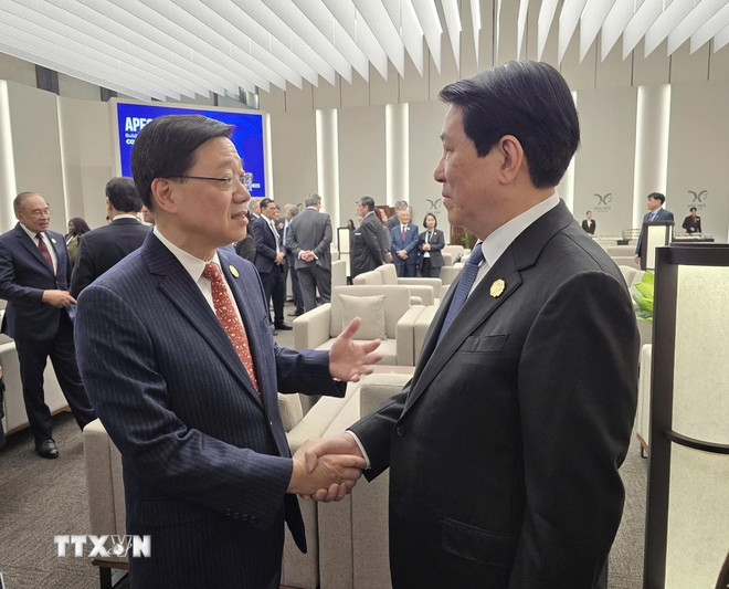 Chủ tịch nước - Ảnh 3.