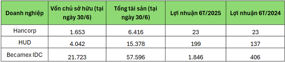 18 doanh nghiệp được chọn làm nhà ở xã hội có tiềm lực ra sao? - 1