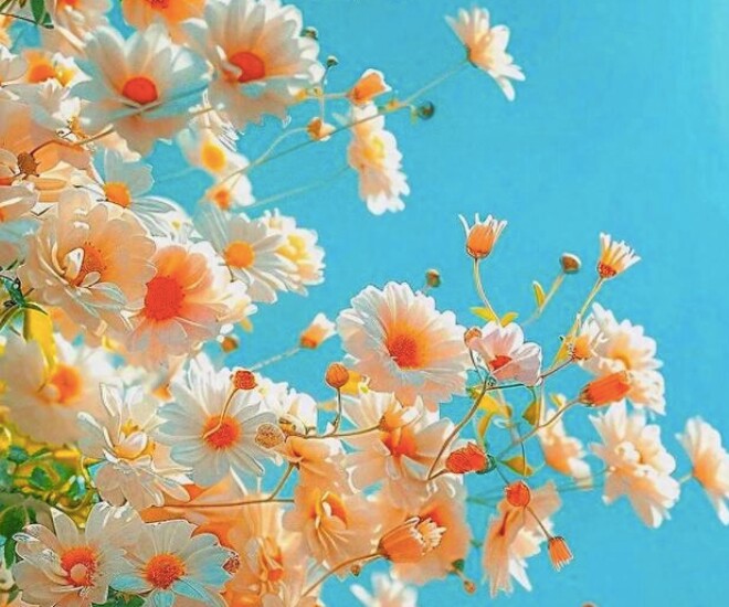 3 chữ “đừng” người khôn ngoan luôn nhớ, kẻ dại vẫn thường quên - 1