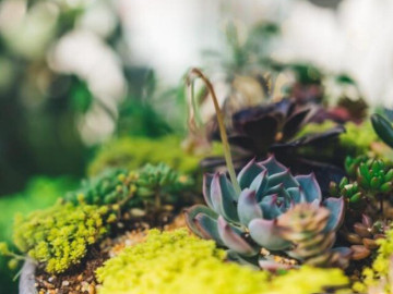 Nhớ 4 câu này và bạn sẽ hạnh phúc!