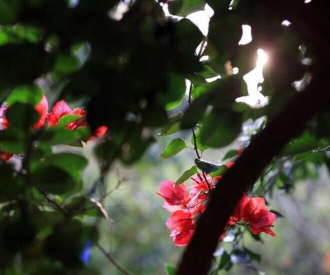 3 điều kẻ dại thường thích khoe khoang, người càng khôn ngoan càng giữ kín - 1