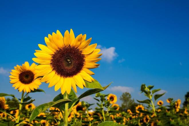 4 dấu hiệu một người phụ nữ bắt đầu gặp may mắn - 2