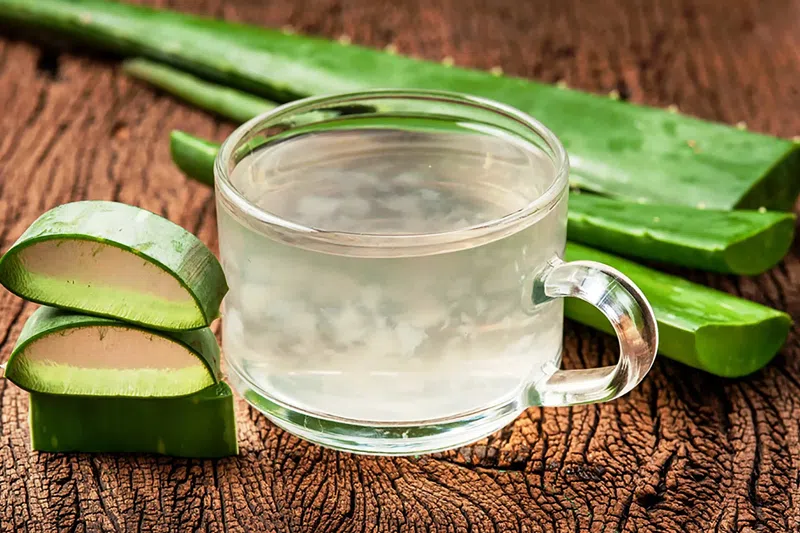 Nha đam là loại trồng đầy ngoài vườn của nhiều gia đình Việt. Gel nha đam chứa 99% nước, vitamin và axit amin giúp da mềm mịn, dịu mát. Dù uống hay đắp mặt, nha đam đều giúp phục hồi làn da khô sạm, mất nước hiệu quả.