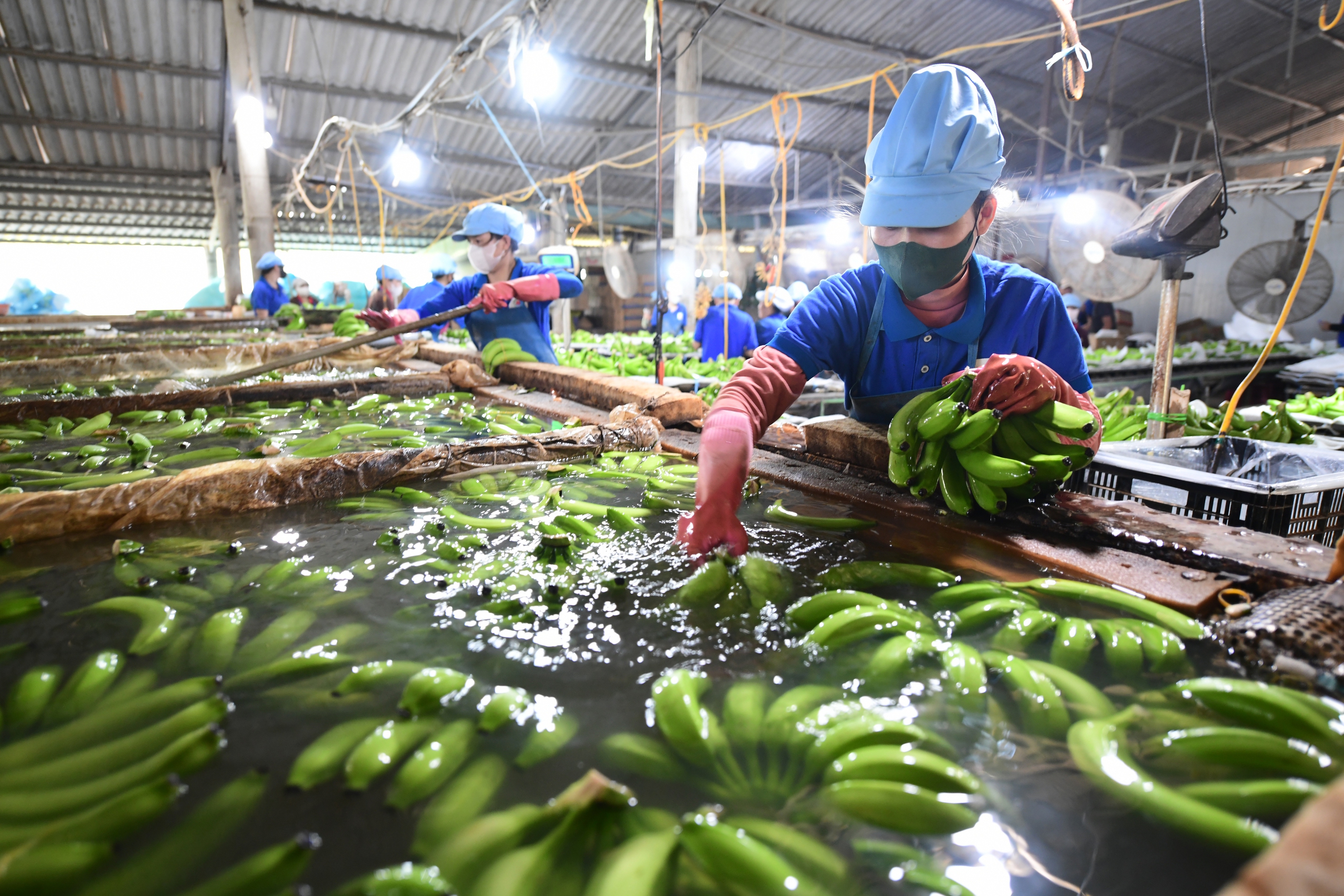 ăn uống - Ảnh 2.