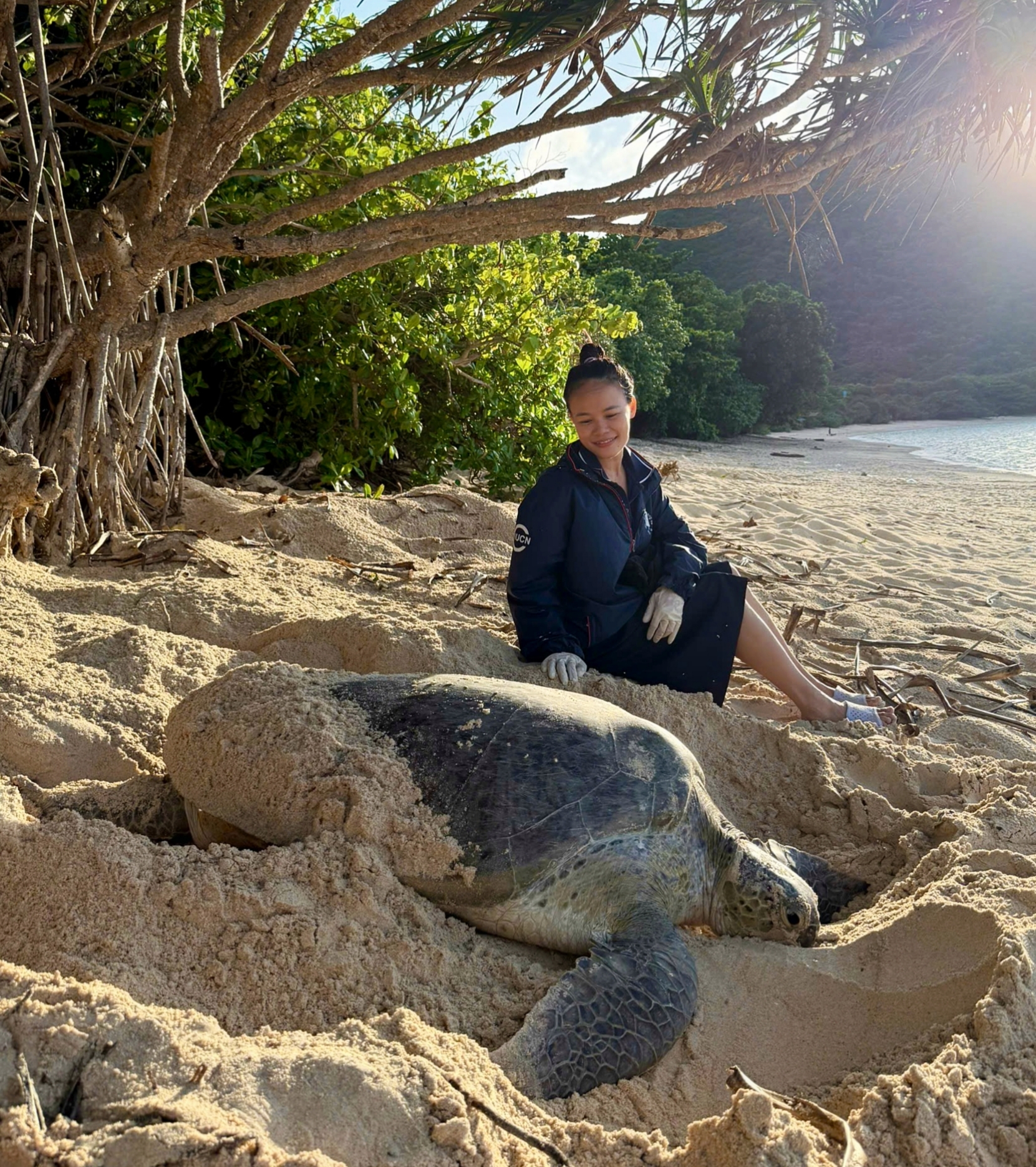 Bà đỡ của hàng trăm mẹ rùa - Ảnh 1.